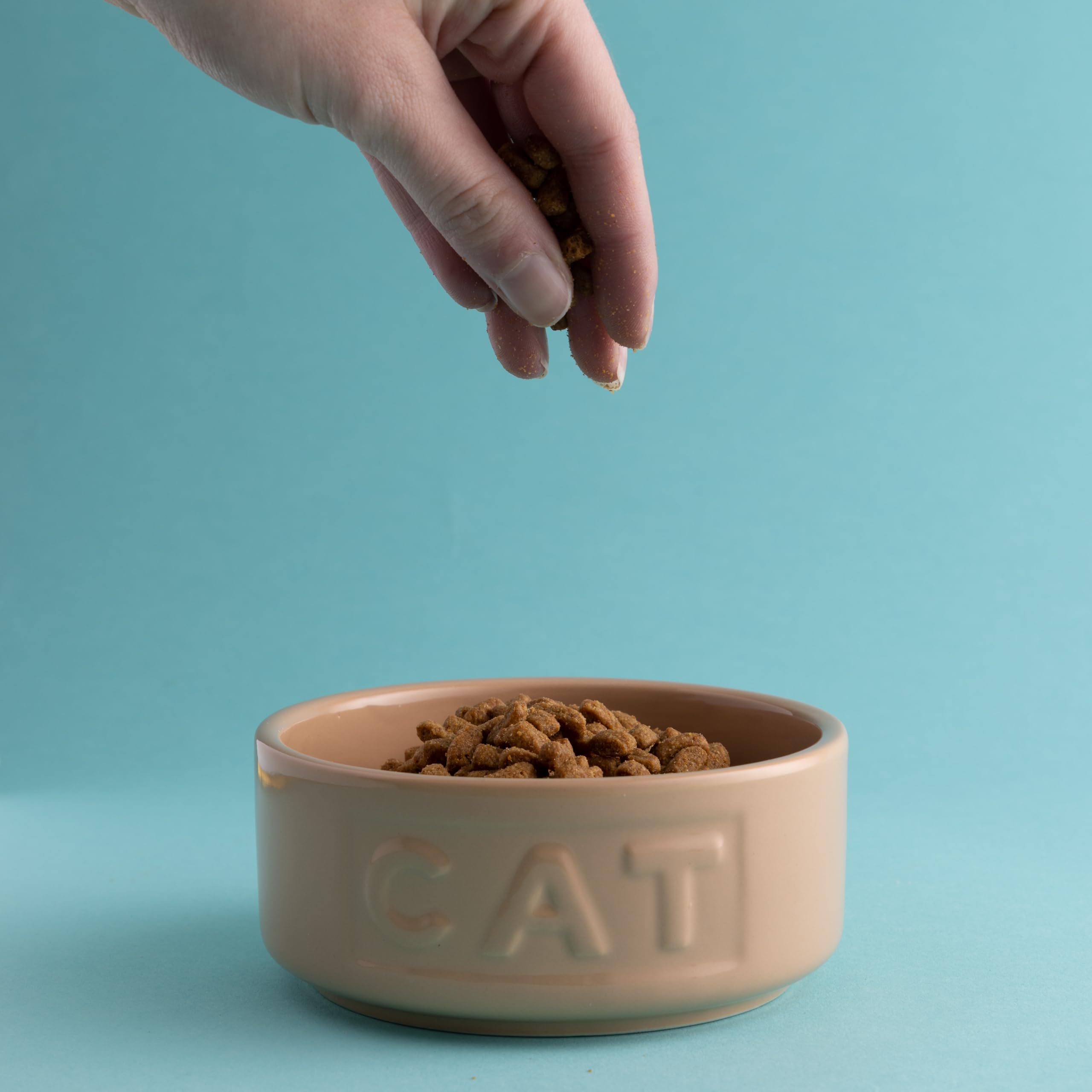 Mason Cash Cane Collection 13 cm Stoneware Cat Bowl - Durable & Stable | 400ml Capacity 2