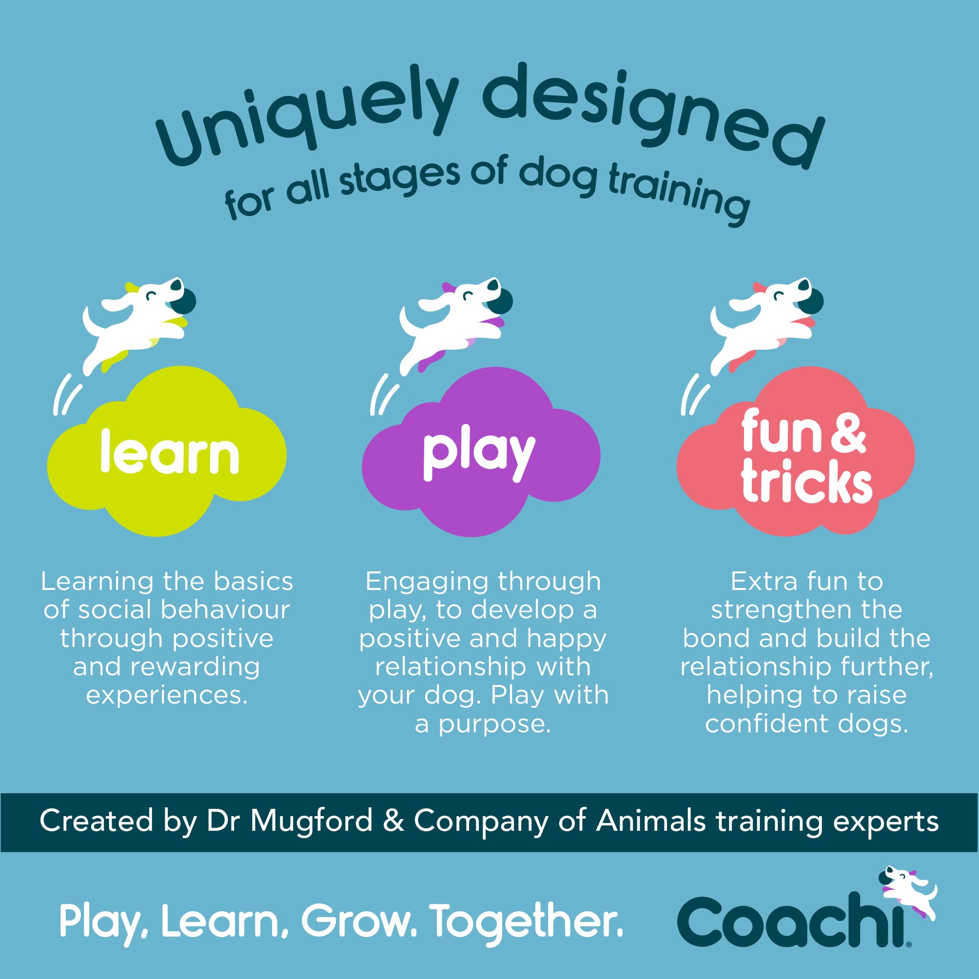 Coachi Tuggi Ball - Interactive Dog Toy for Tug of War & Fetch | Bungee Handle | Navy, Coral & Lime 5