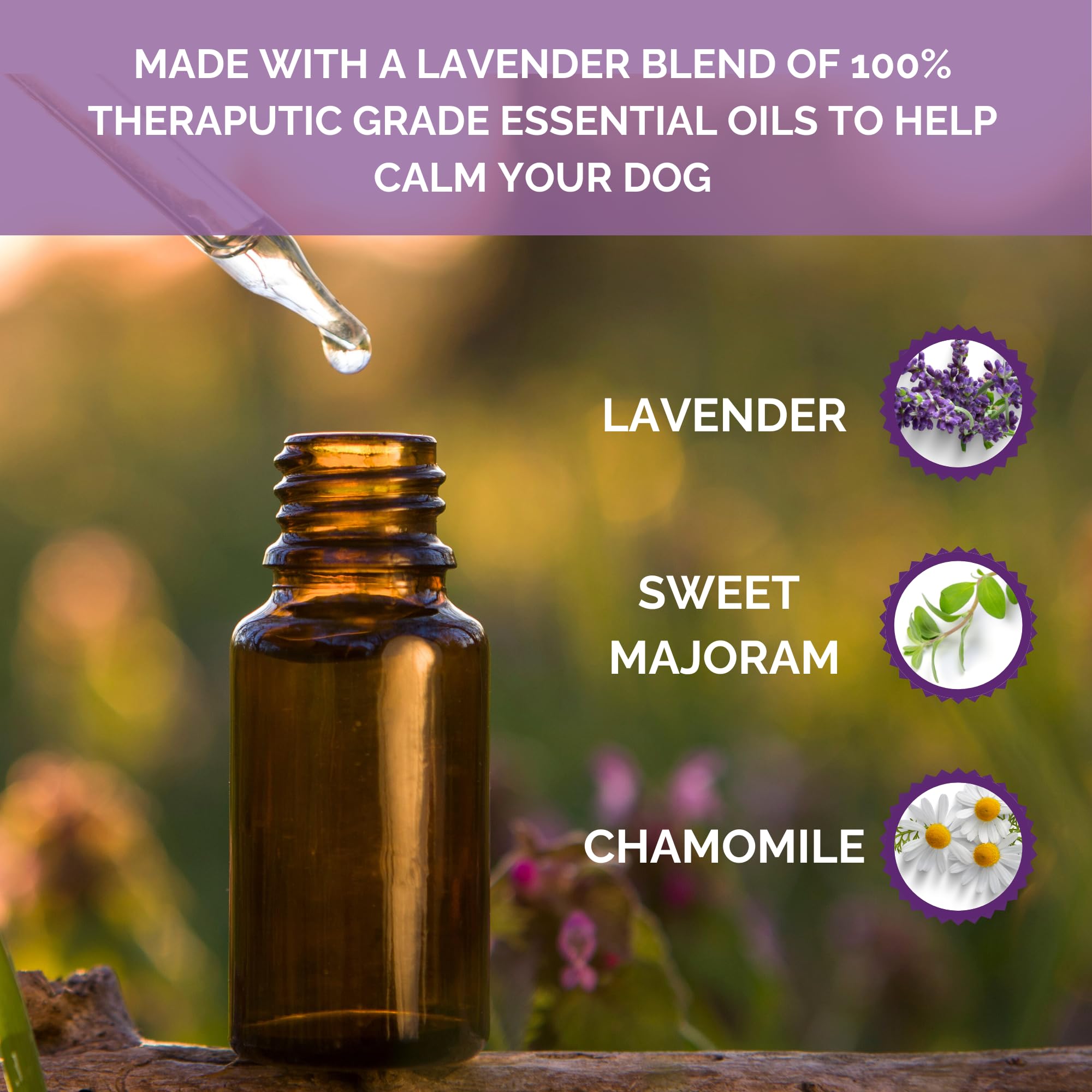 AROMADOG Calm Fleece Laying Down Dog Toy - Lavender Scented, Stuffing-Free, Squeaker | 33cm 3