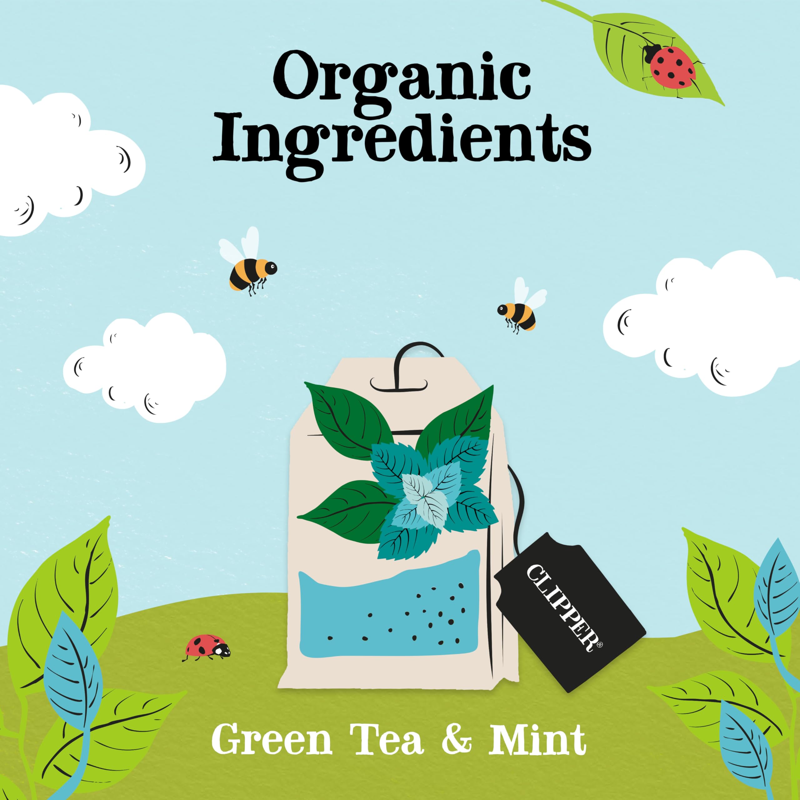 Clipper Natural, Fair & Delicious Organic Green and Mint Tea Bags - Box of 50 3