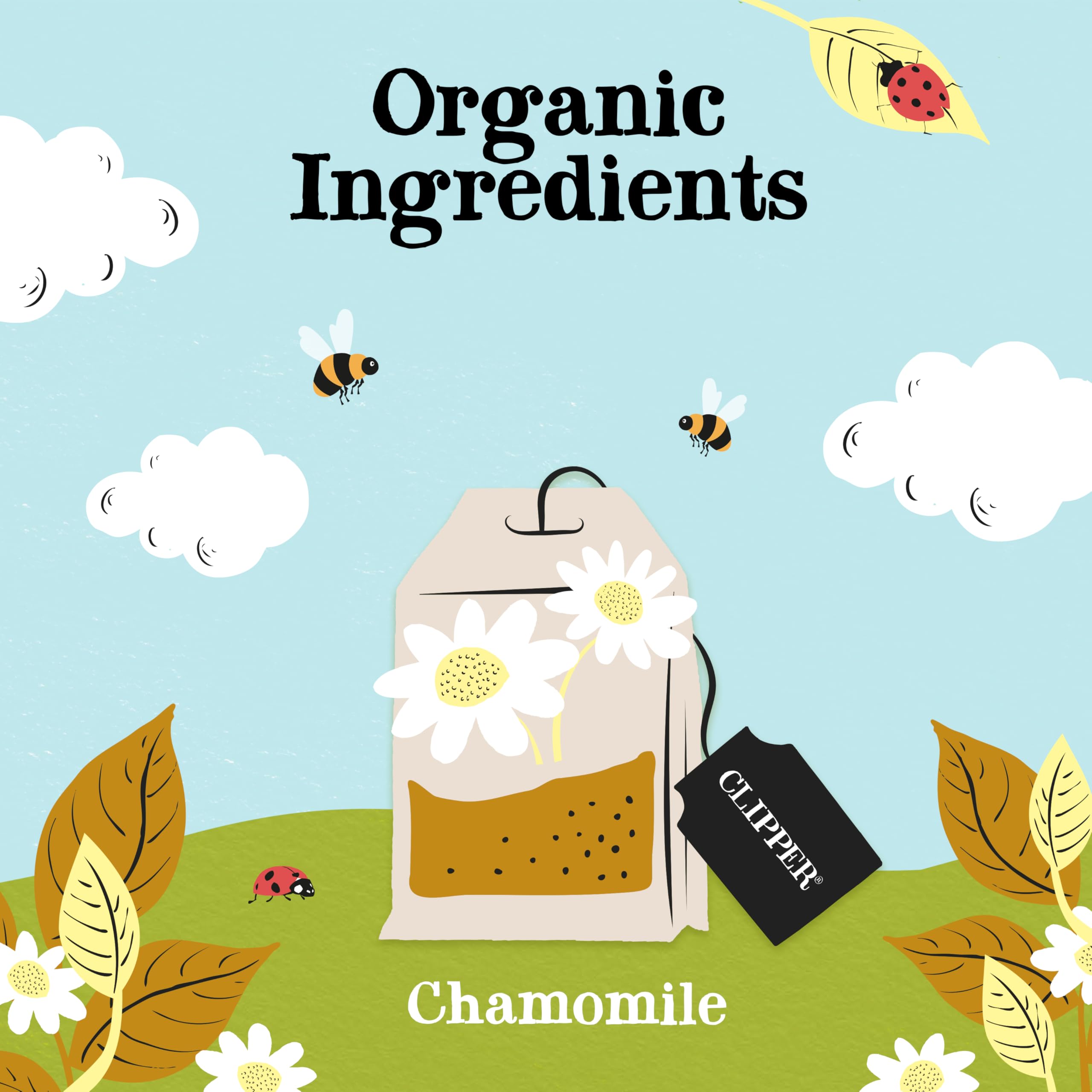 Clipper Natural, Fair & Delicious Organic Chamomile Tea Bags - 120 Count (6 x 20 Bags) | Caffeine Free 3