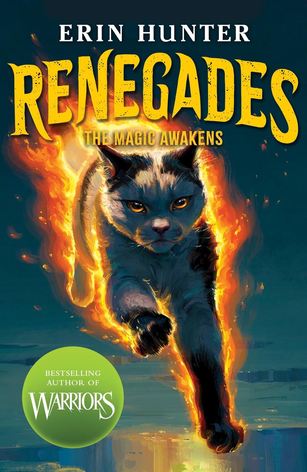 Scholastic Renegades: The Magic Awakens by Erin Hunter | Paperback | Ages 9-13