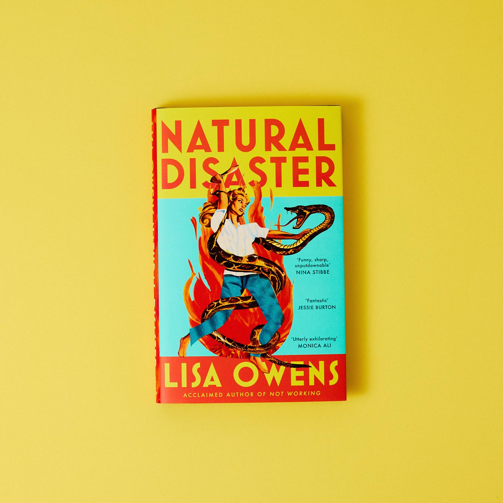 Virago Natural Disaster by Lisa Owens - Contemporary Fiction | Hardcover