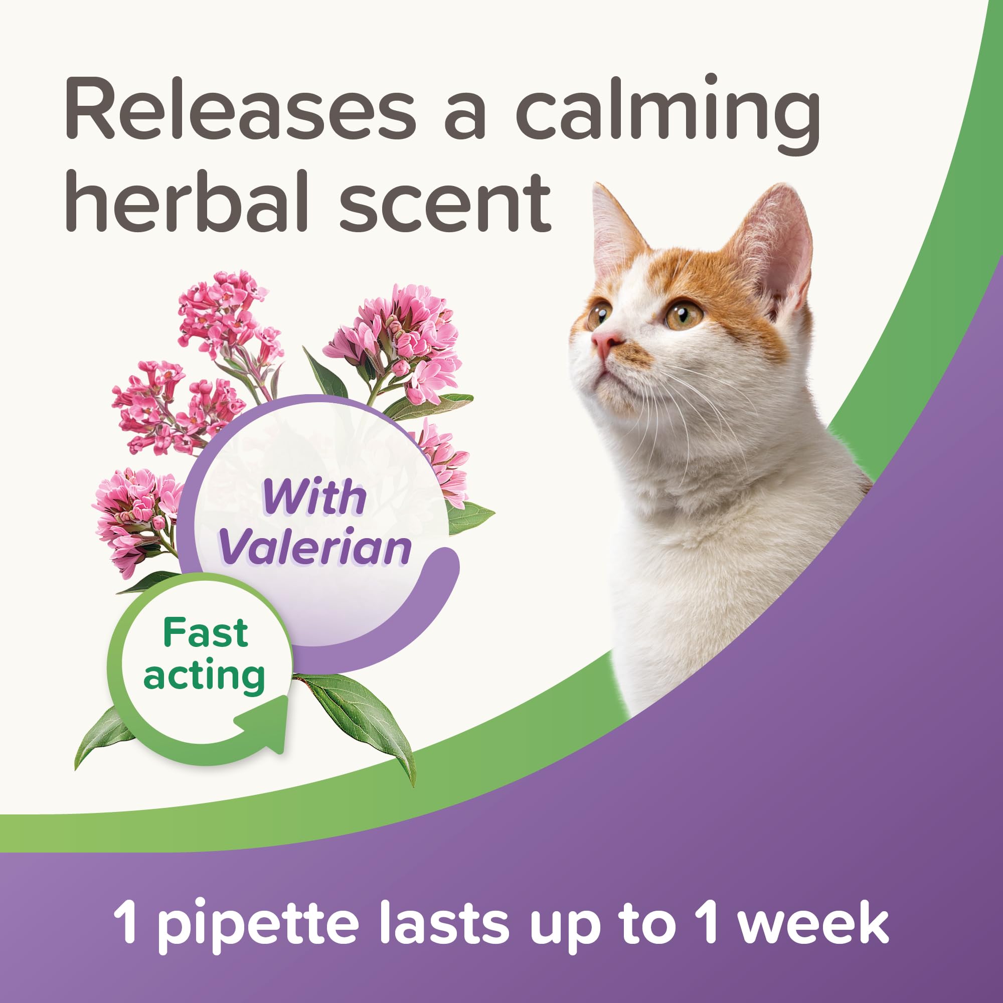 Beaphar StressLess Herbal Calming Spot-On for Cats - 3 Pipettes | Up to 1 Week Relief Per Application 4