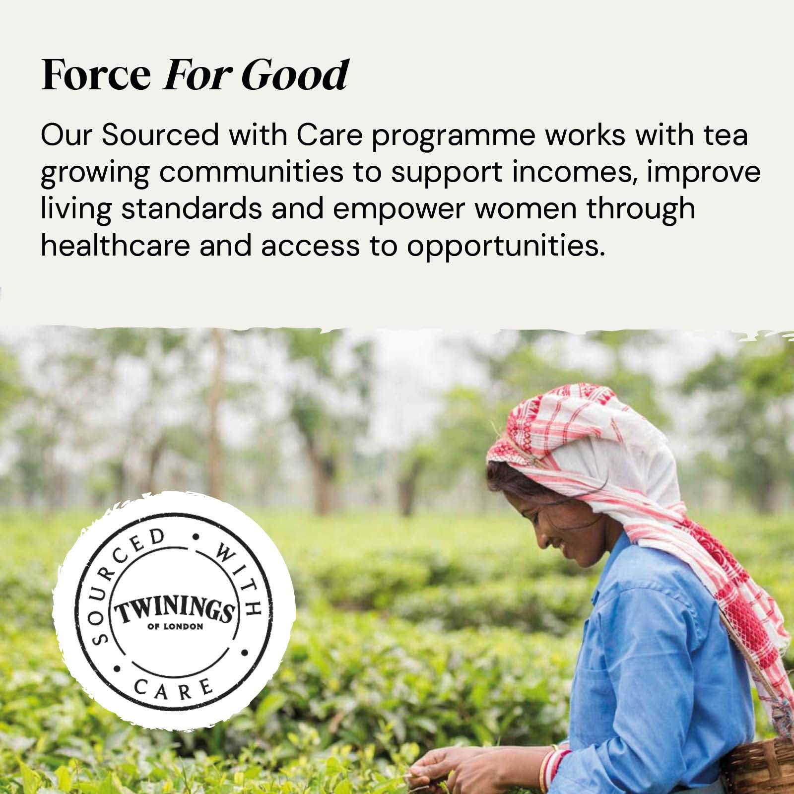 Twinings Organic Ceremonial Grade Matcha Green Tea Powder - 30g Tin 17