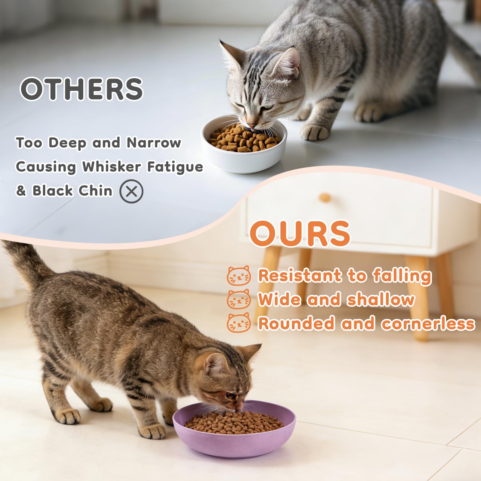 MOXYOY 5-Pack Cat Bowls - Whisker Friendly Shallow Design | Food Grade PP Material | Includes Storage Box 6