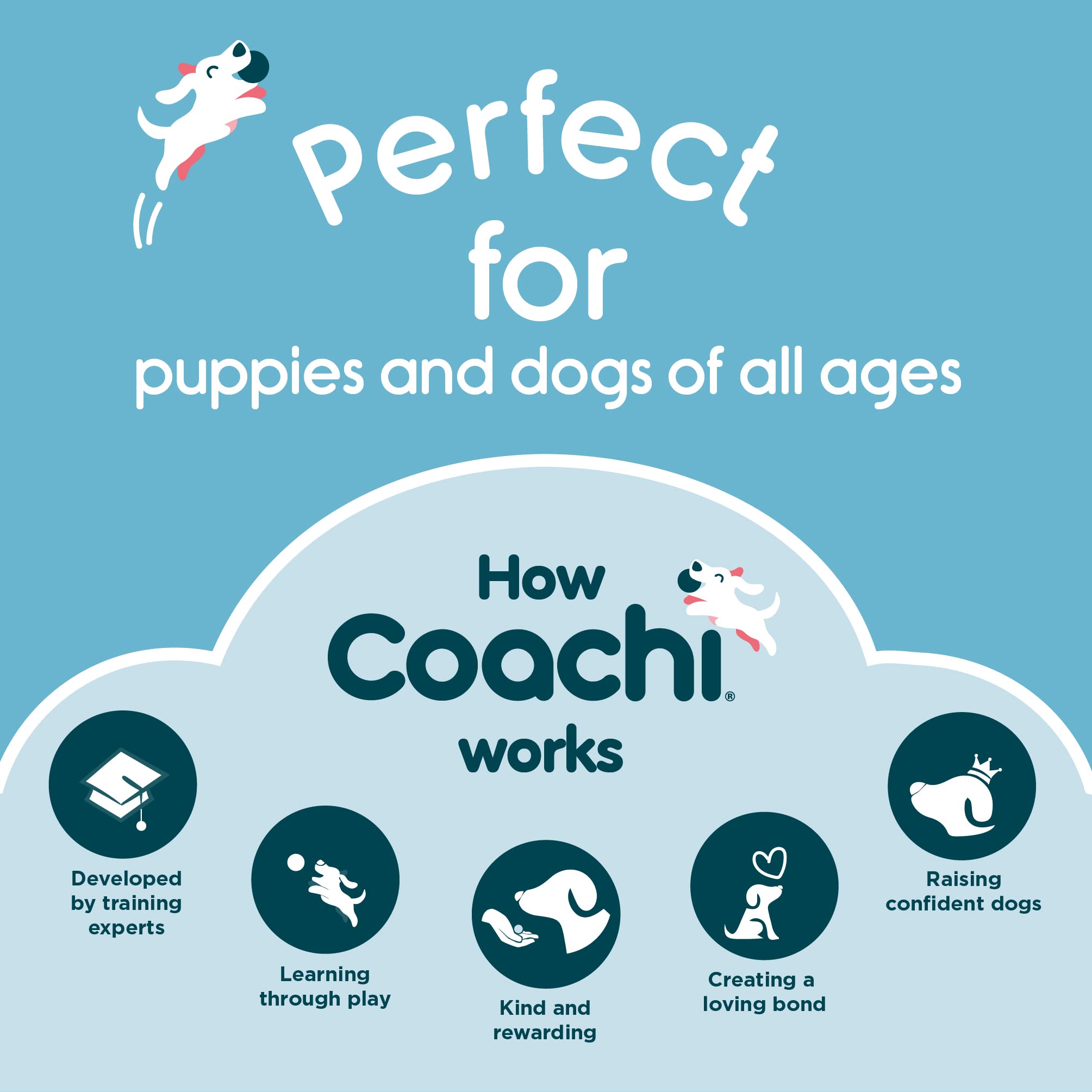 Coachi Multi-Clicker Dog Training Aid - 3 Volume Settings | Adjustable Wrist Strap | Navy/Coral 6