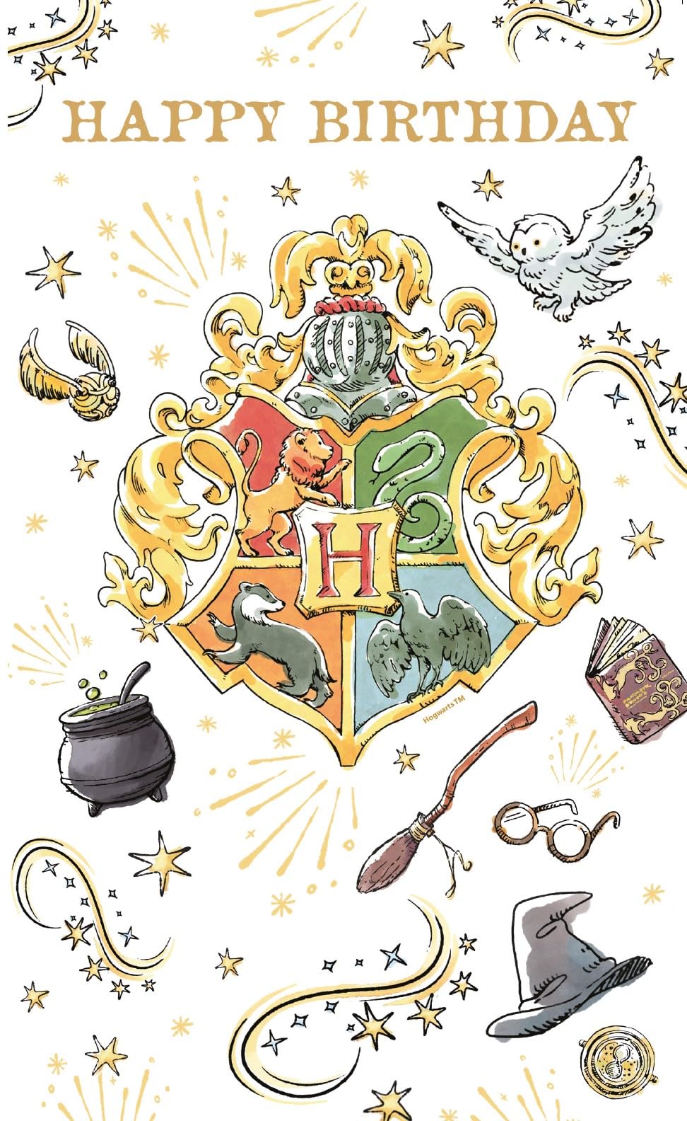 Danilo Promotions Ltd Official Harry Potter Birthday Card | Multi Color | 235x127x3mm 1