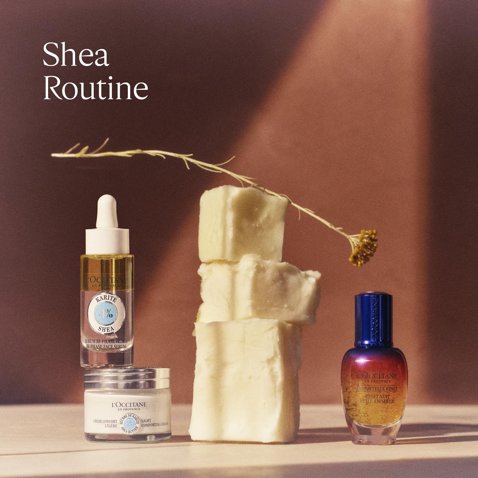 L'OCCITANE Shea (Karité) Light Comfort Face Cream - 50 ml - 24H Hydration 4