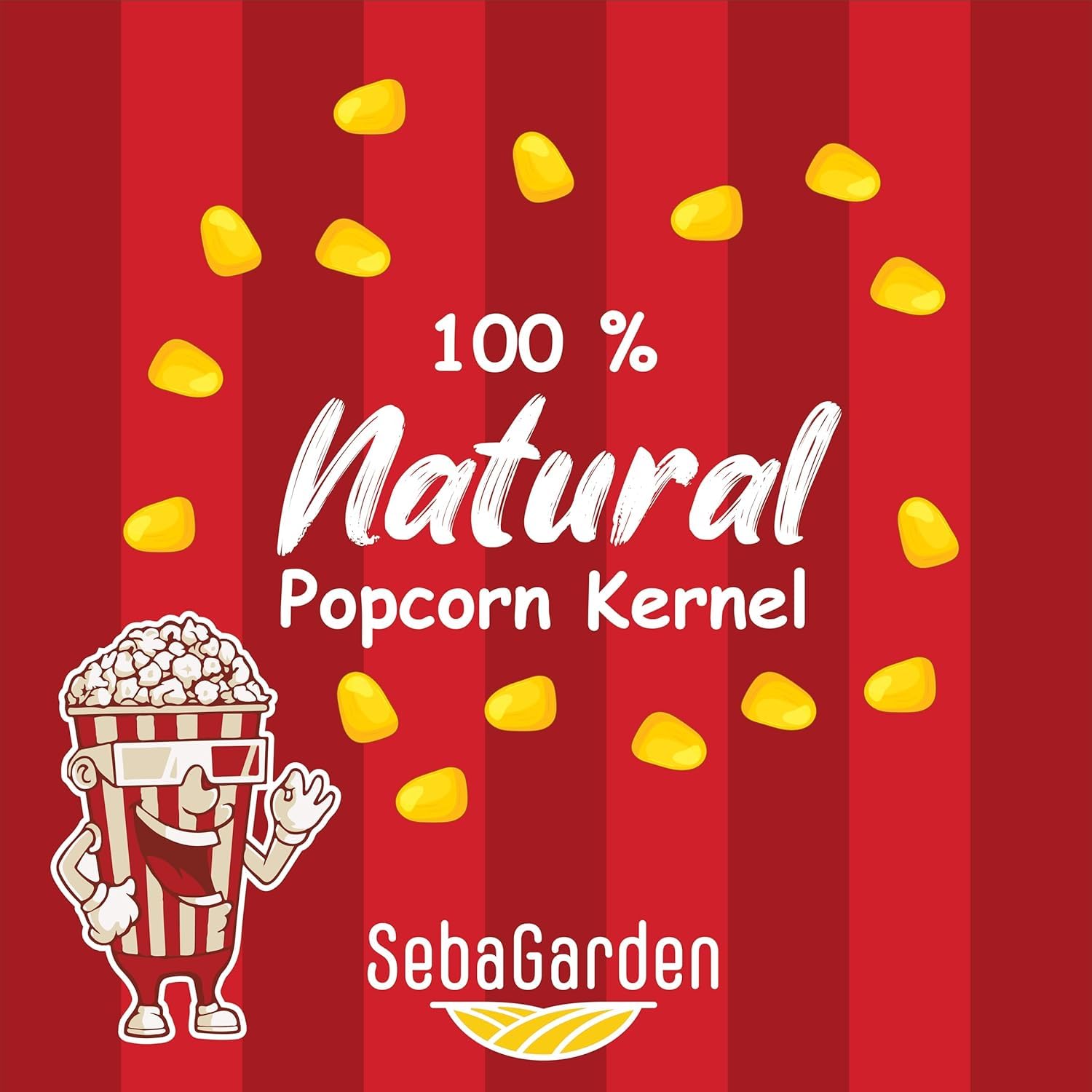 Seba Garden Popcorn Kernels - 1 kg | Non-GMO, Gluten-Free, High Popping Rate 4