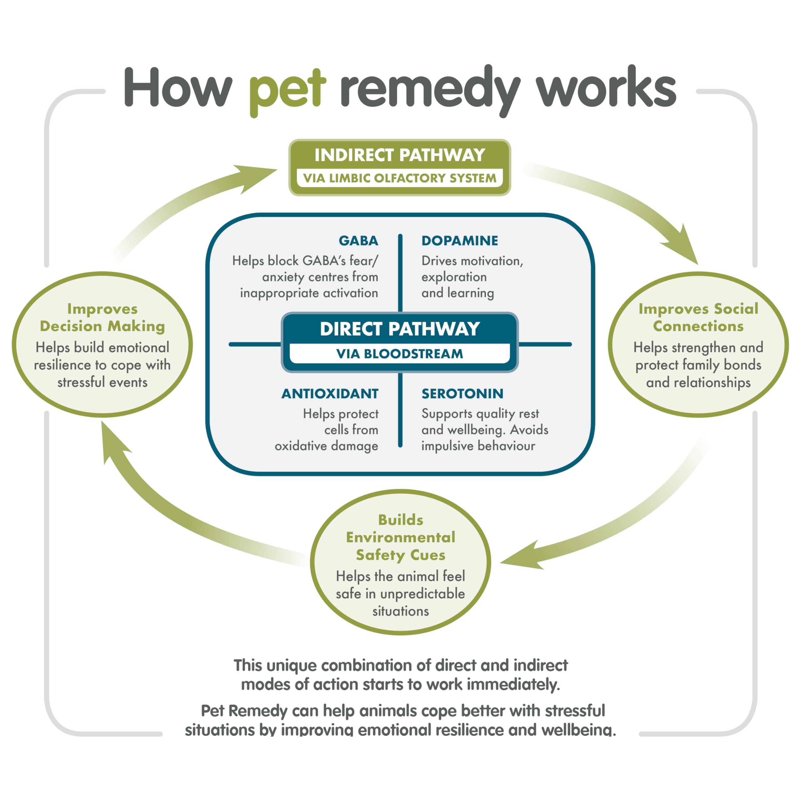 Pet Remedy Calming Spray - Natural De-Stress Formula | 15 ml | All Life Stages