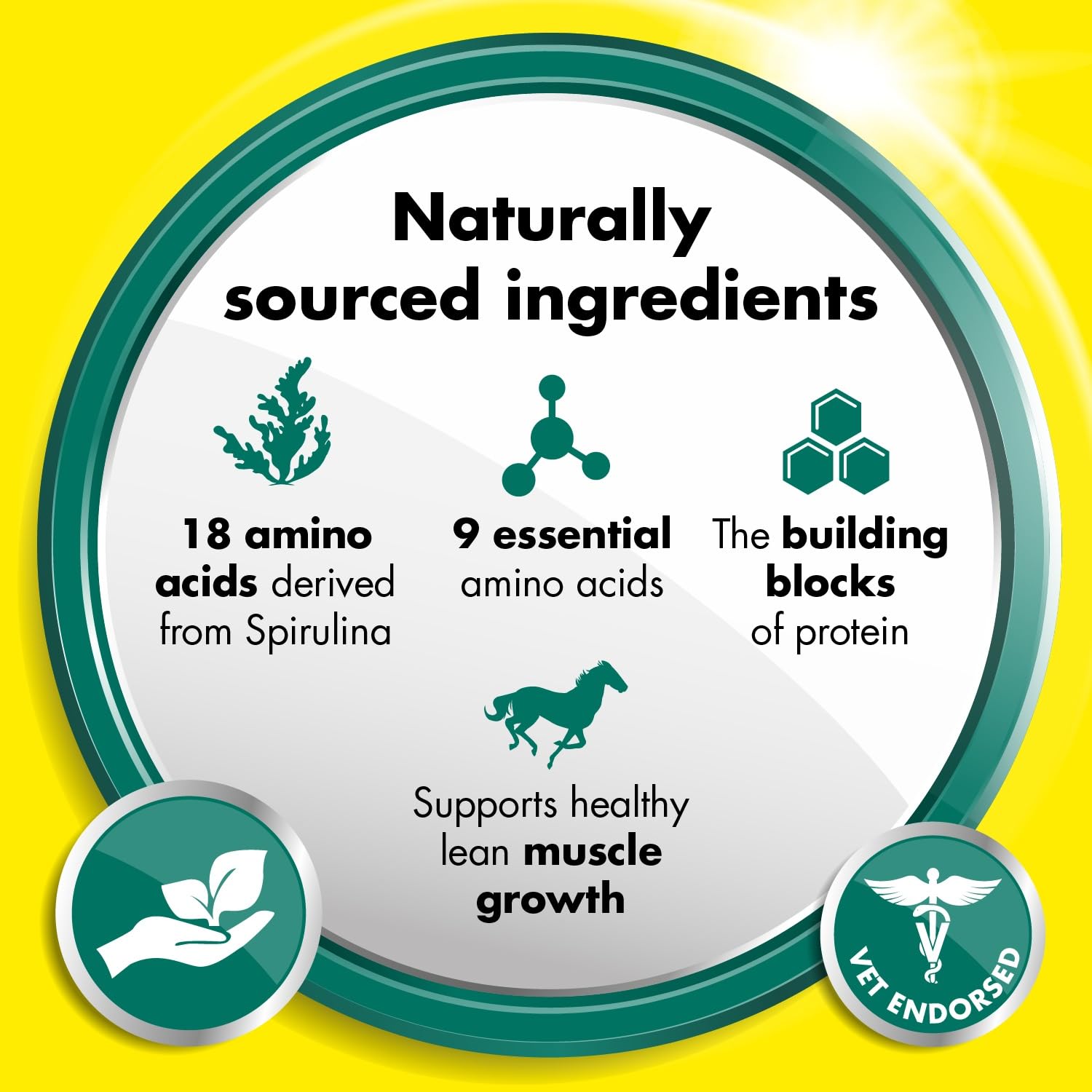 EQUITOP Myoplast Muscle Supplement for Horses - 1.5 kg Tub | Supports Lean Muscle Development