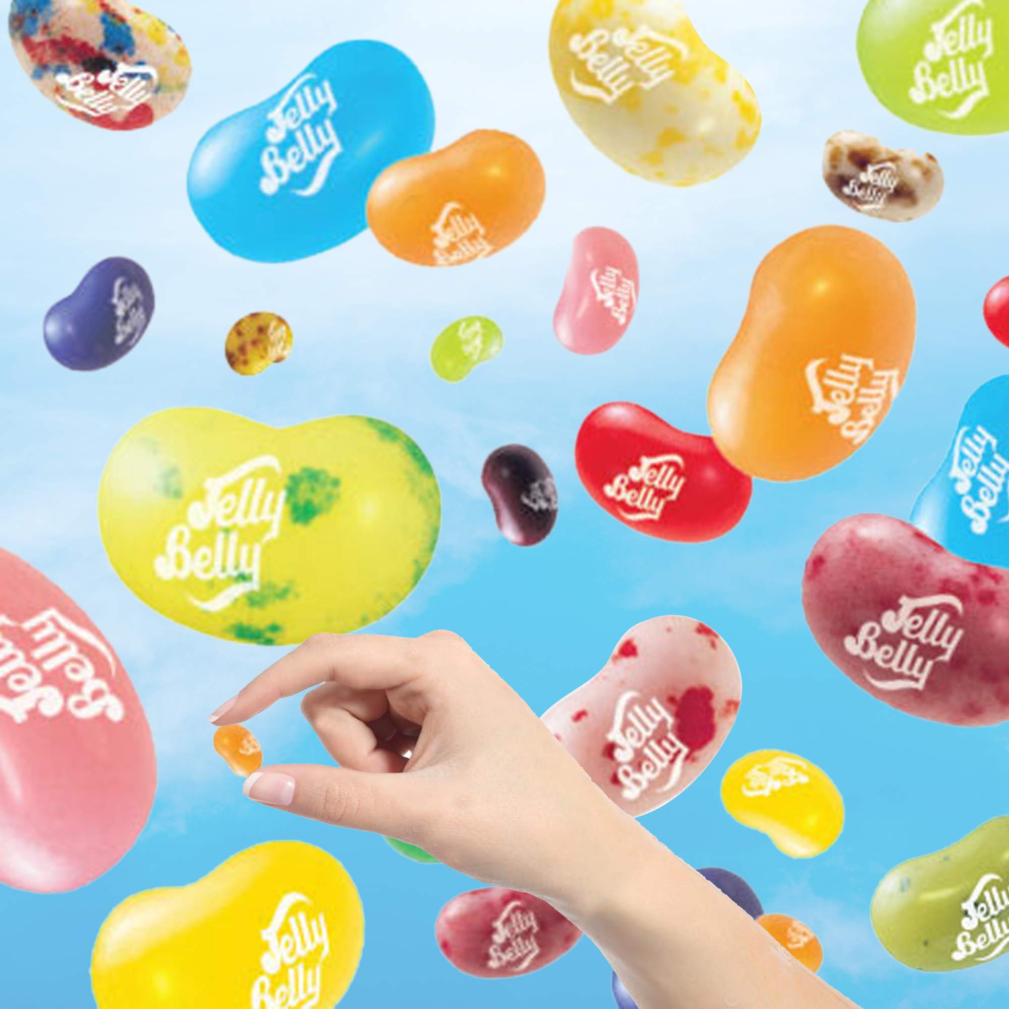 Jelly Belly Assorted Jelly Beans Gable Gift Box - 200g | Vegetarian | Gluten Free 3