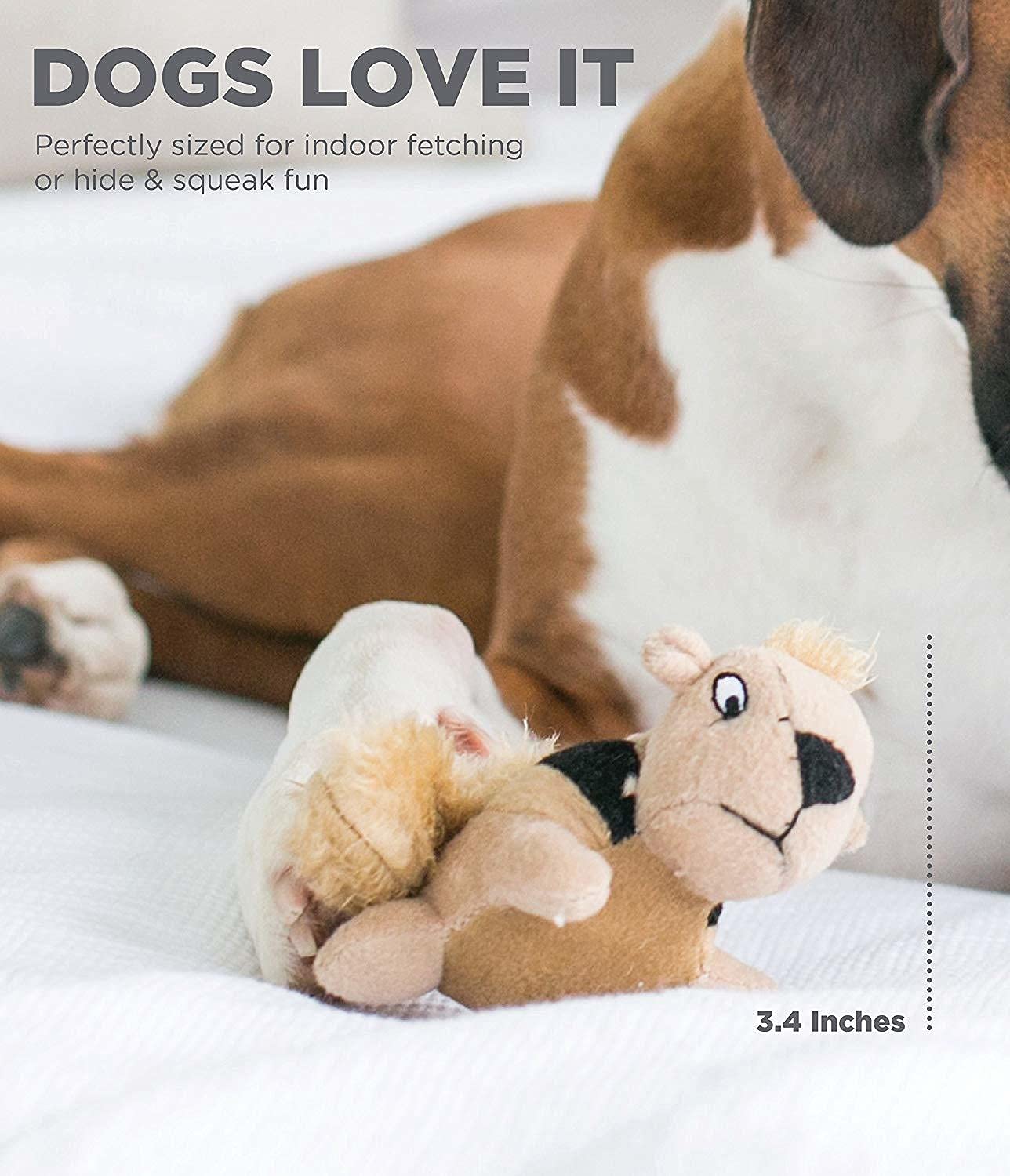 Outward Hound Squeakin' Squirrels Plush Replacement Dog Toys - 3 Pack | Durable Squeaker | For Medium, Large, XL Hide A Squirrel Trunks
