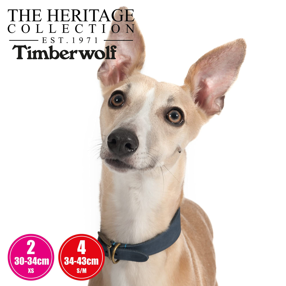 Ancol Timberwolf Greyhound Leather Dog Collar - Blue, 34-43cm
