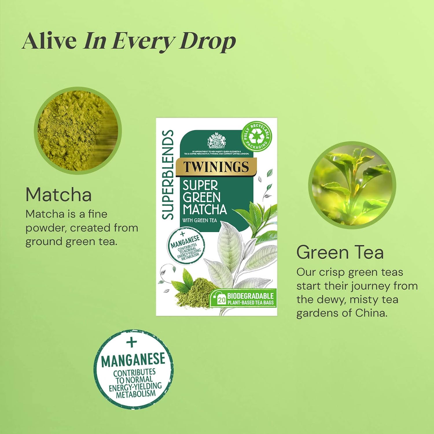 Twinings Superblends Super Green Matcha Tea, 80 Tea Bags (4 x 20) 6