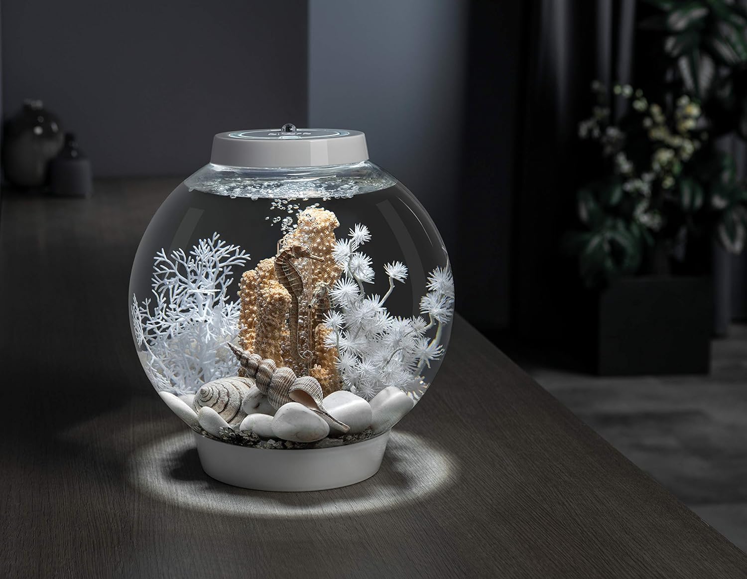 biOrb Feng Shui Pebble Pack - Glistening White Aquarium Decor | 2 lbs Stone