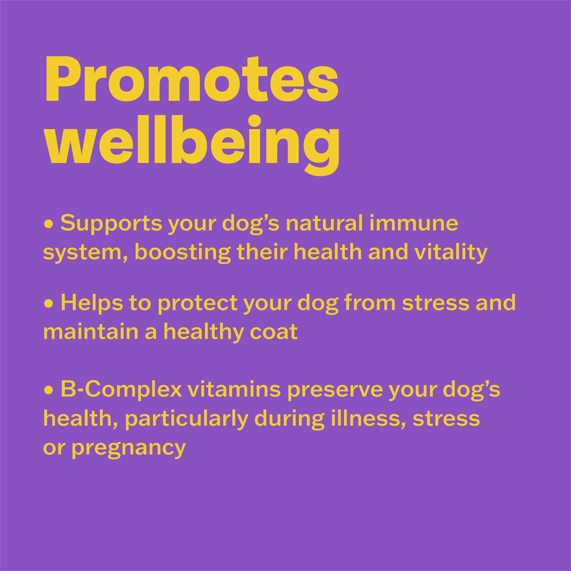 Bob Martin Conditioning Tablets for Dogs - 100 Count Multivitamin Supplement | Supports Immune System & Coat Health