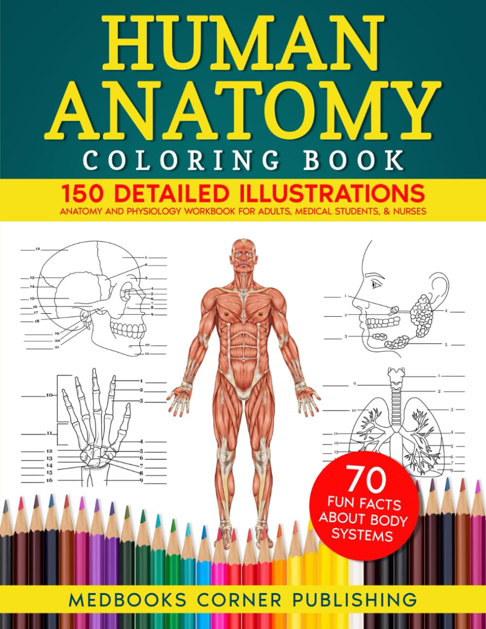 Majosta Human Anatomy Coloring Book - 150 Detailed Illustrations | Paperback 1