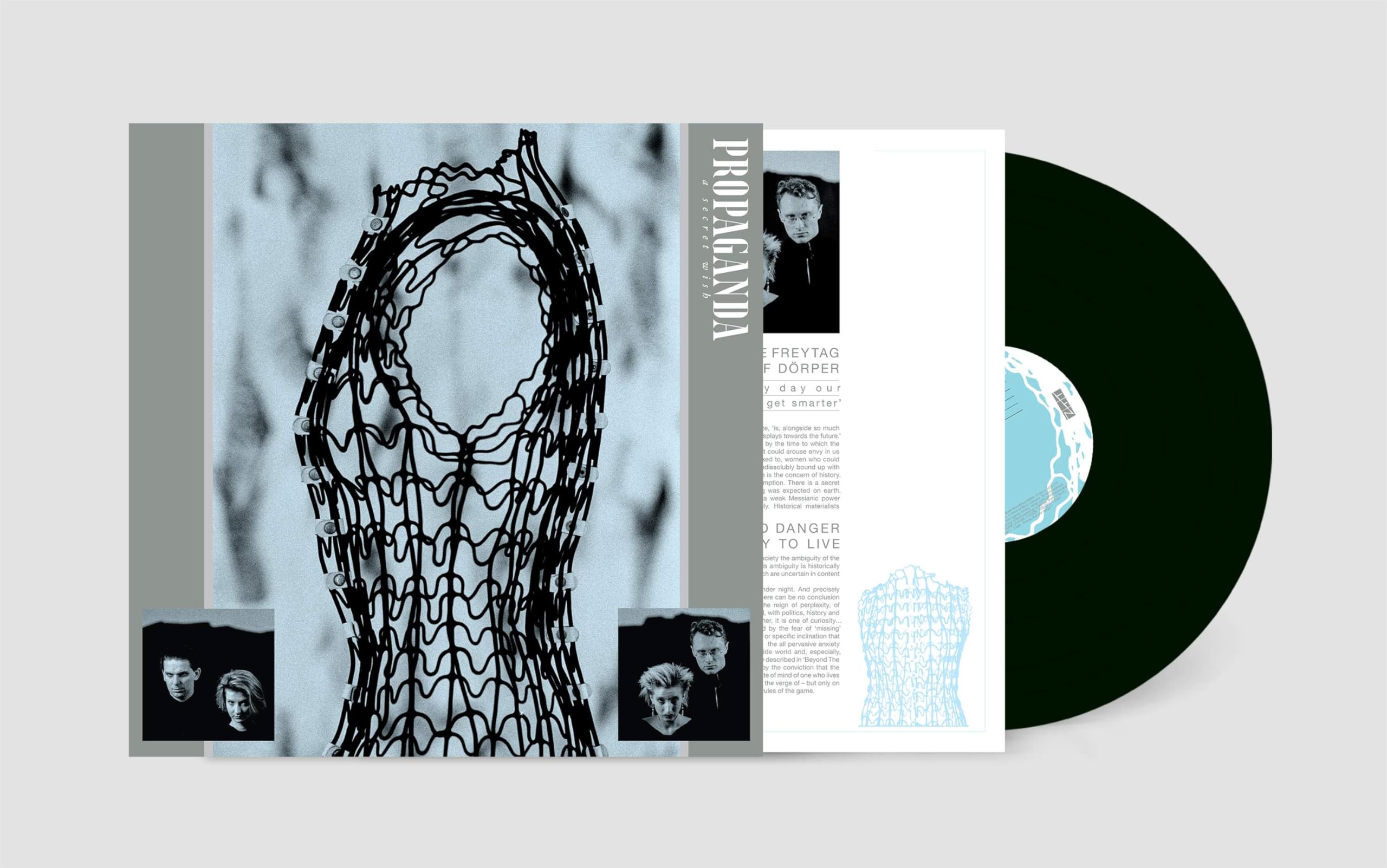 A Secret Wish [VINYL]