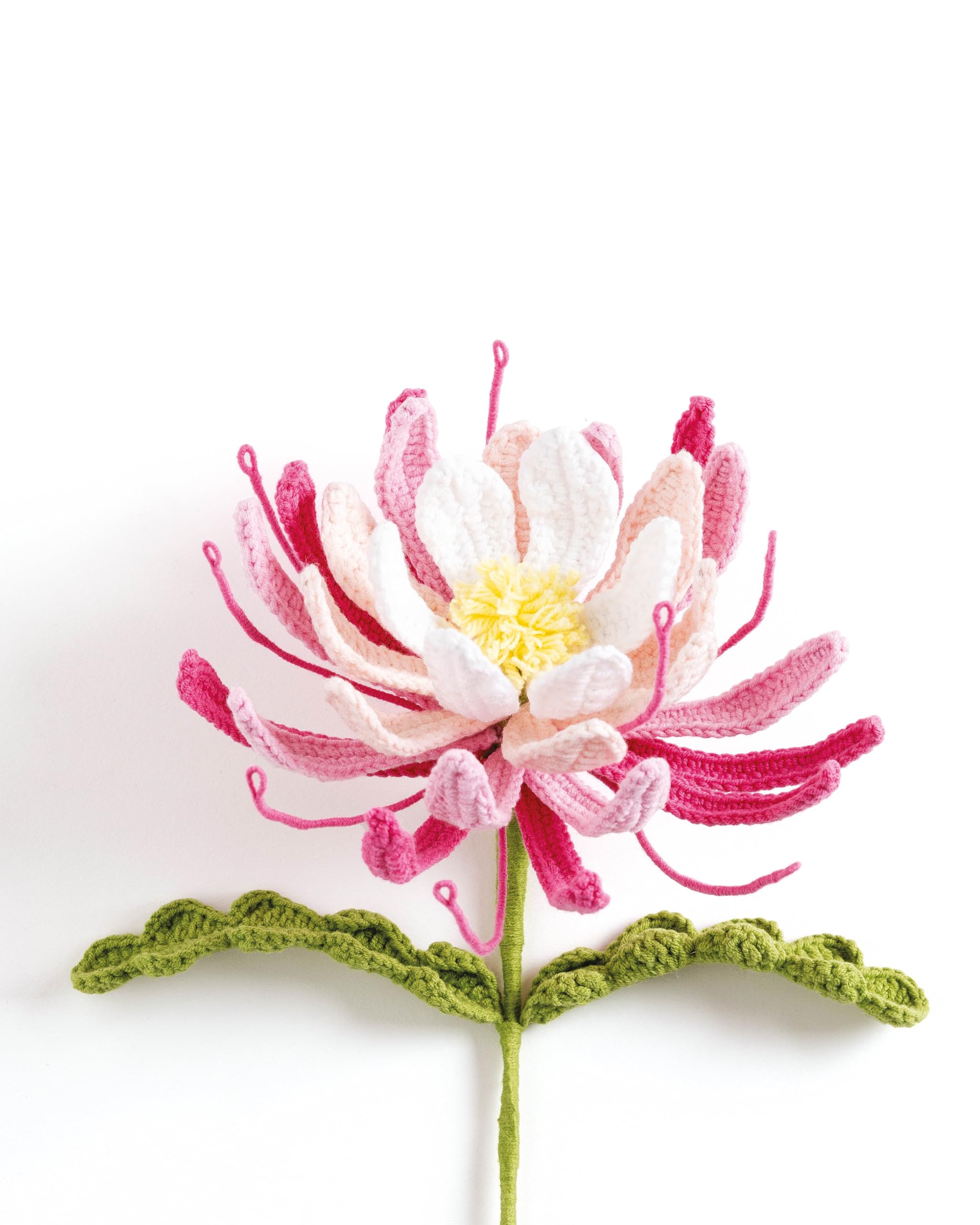 David & Charles Crochet A Flower Bouquet: 35 Handmade Flower & Foliage Patterns 7