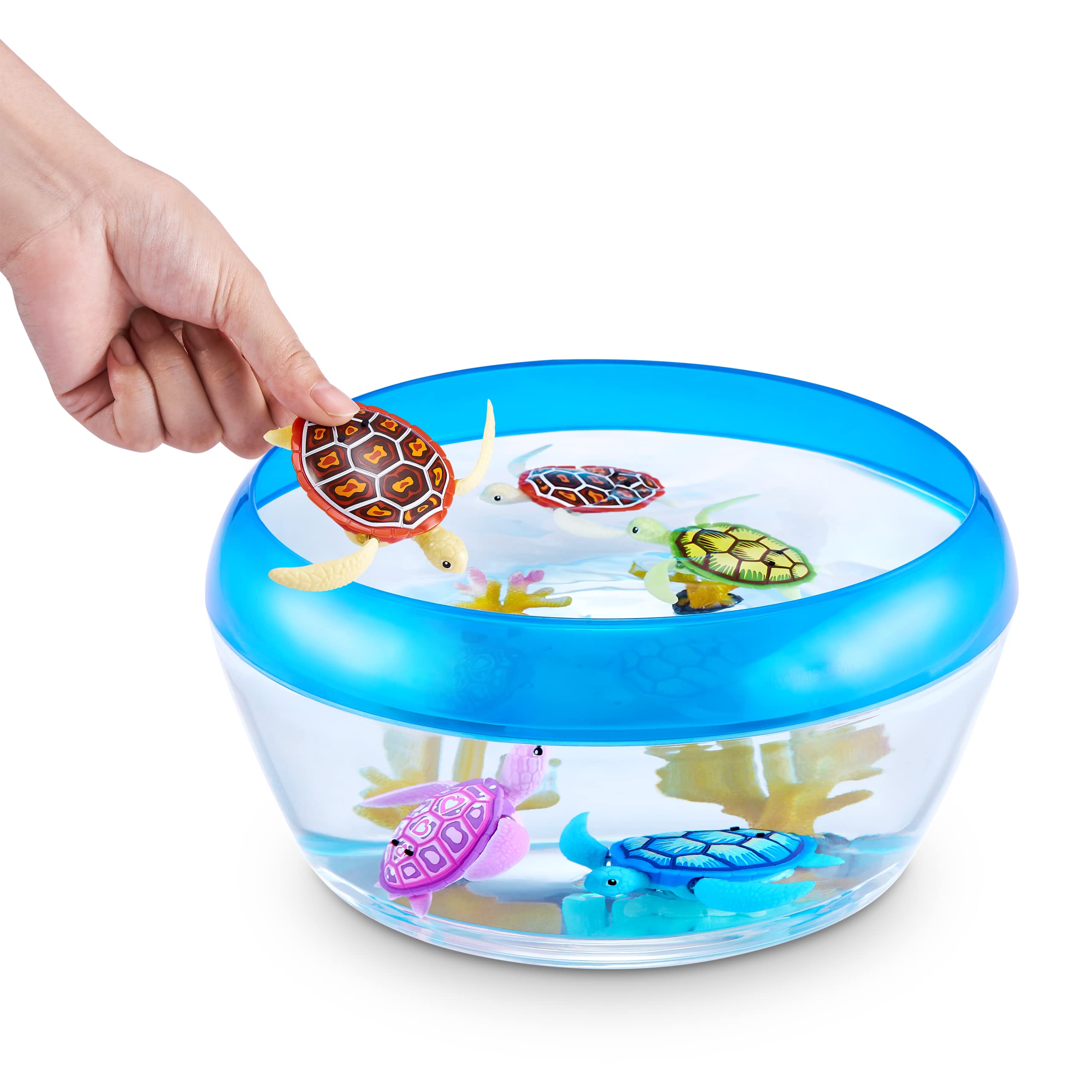 Robo Alive Robo Turtle Swimming Toy - 2 Pack (Orange & Blue) | Robotic Water Toy for Kids 3+ 4