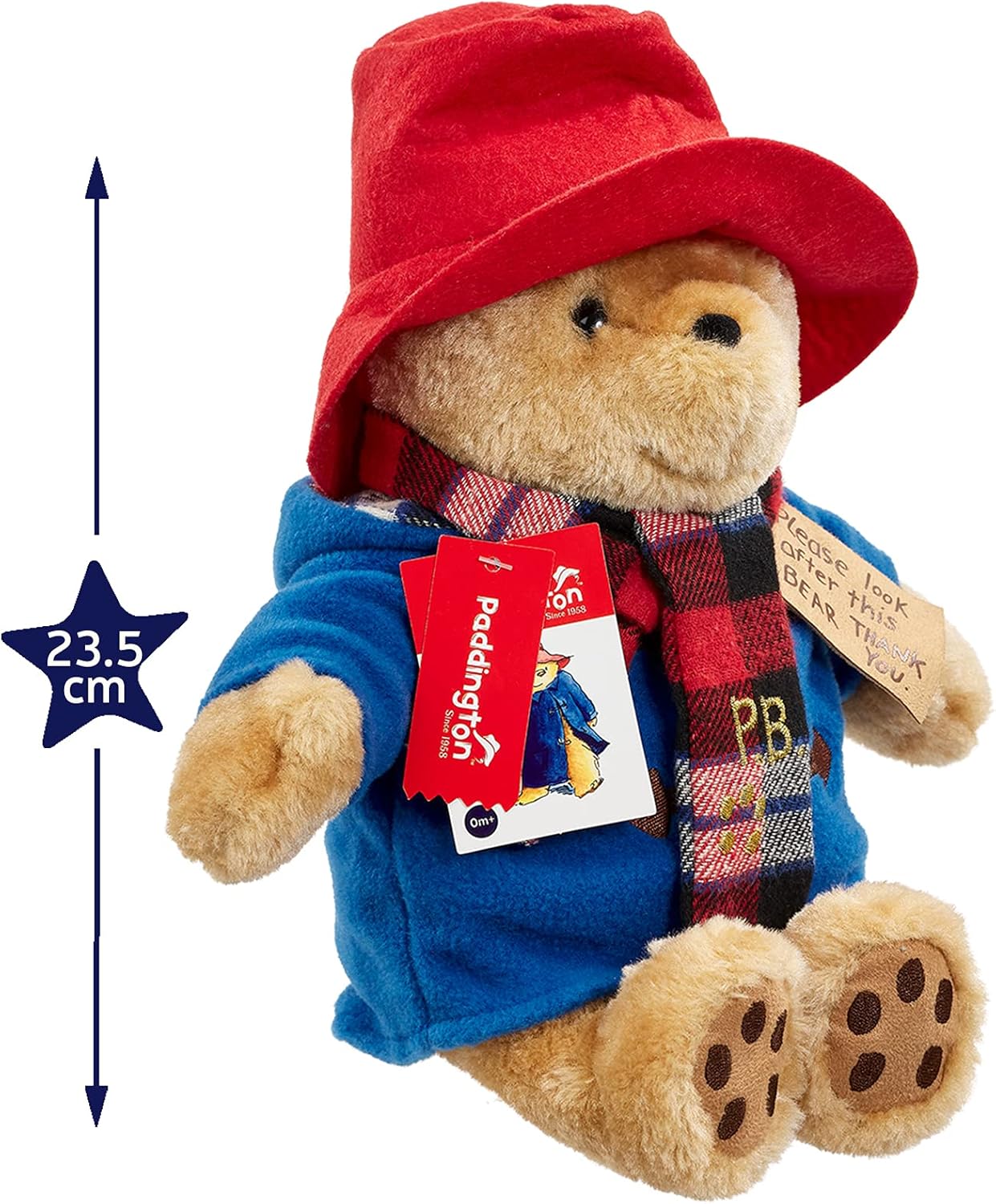 Rainbow Designs Large Paddington Bear with Scarf - 25 cm Plush Toy 4