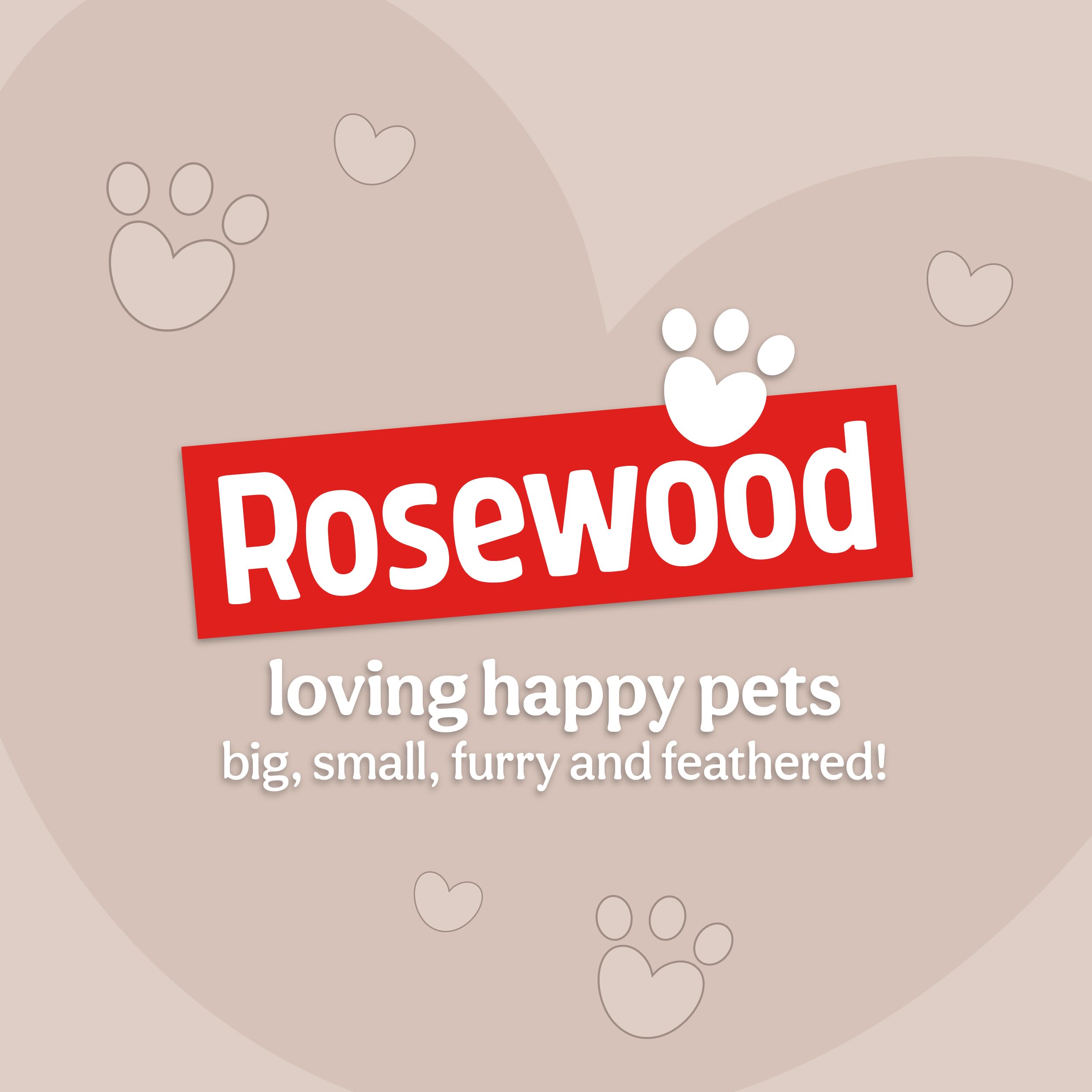 Rosewood Scottish Salmon Oil - Rich in Omega 3, 6 & 9 Fatty Acids for Healthy Skin & Coat | 500ml 9