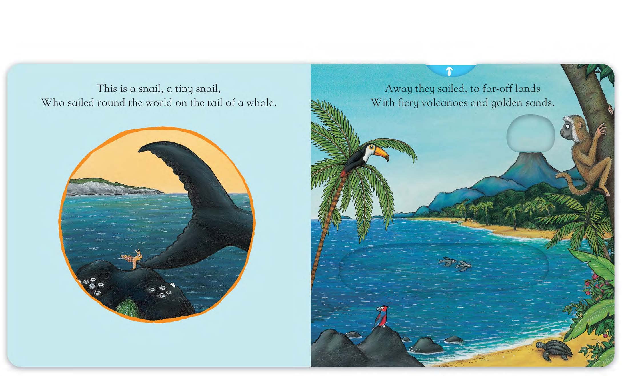 MACMILLAN The Snail and the Whale: A Push, Pull and Slide Book | Board Book | Ages 2-4