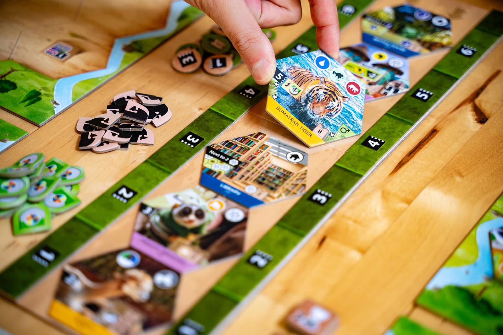 Capstone Games Sanctuary Board Game | 1-5 Players | Ages 12+ | Standard Edition 3