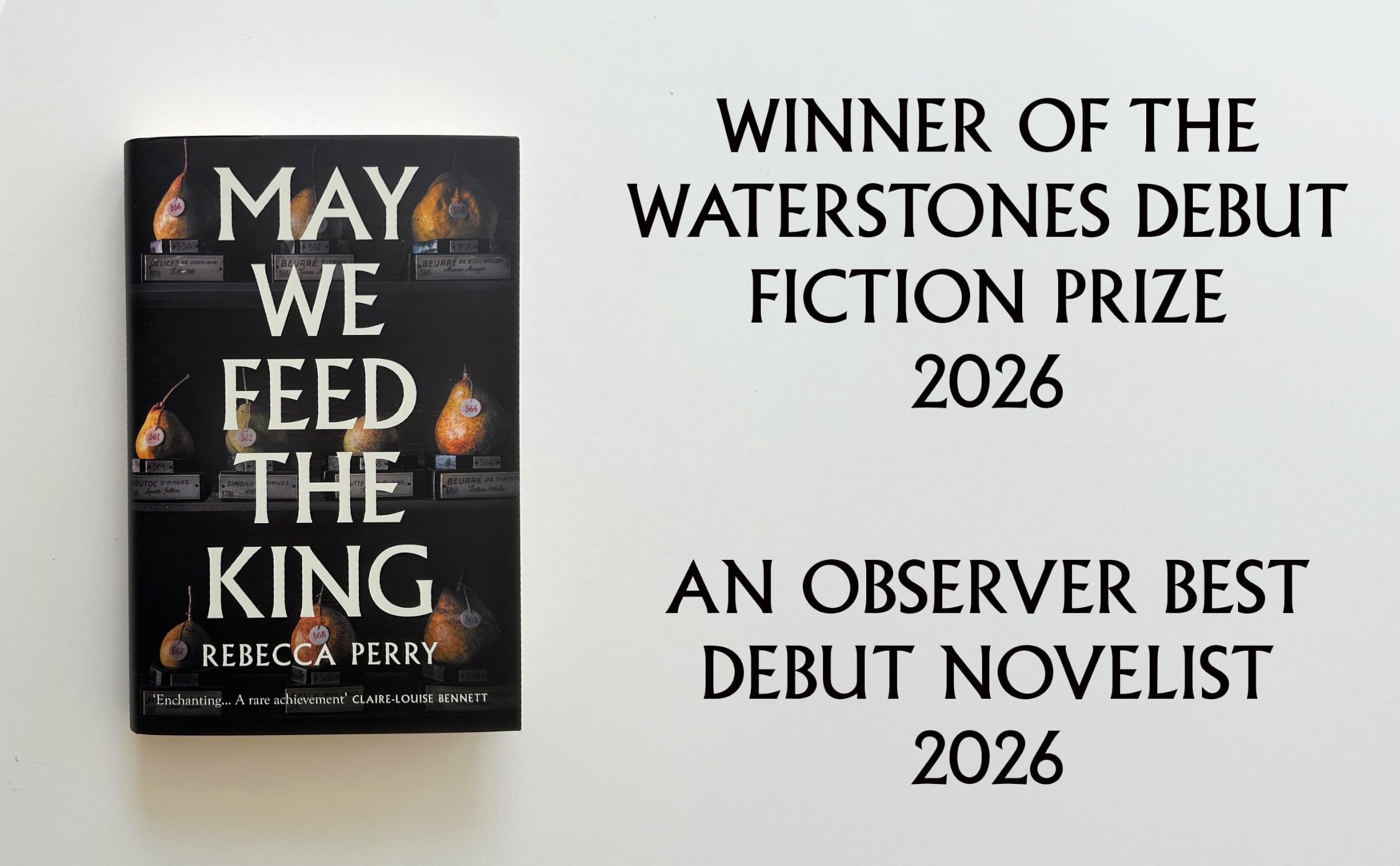 May We Feed the King by Rebecca Perry - Medieval Historical Fiction | Hardcover 3
