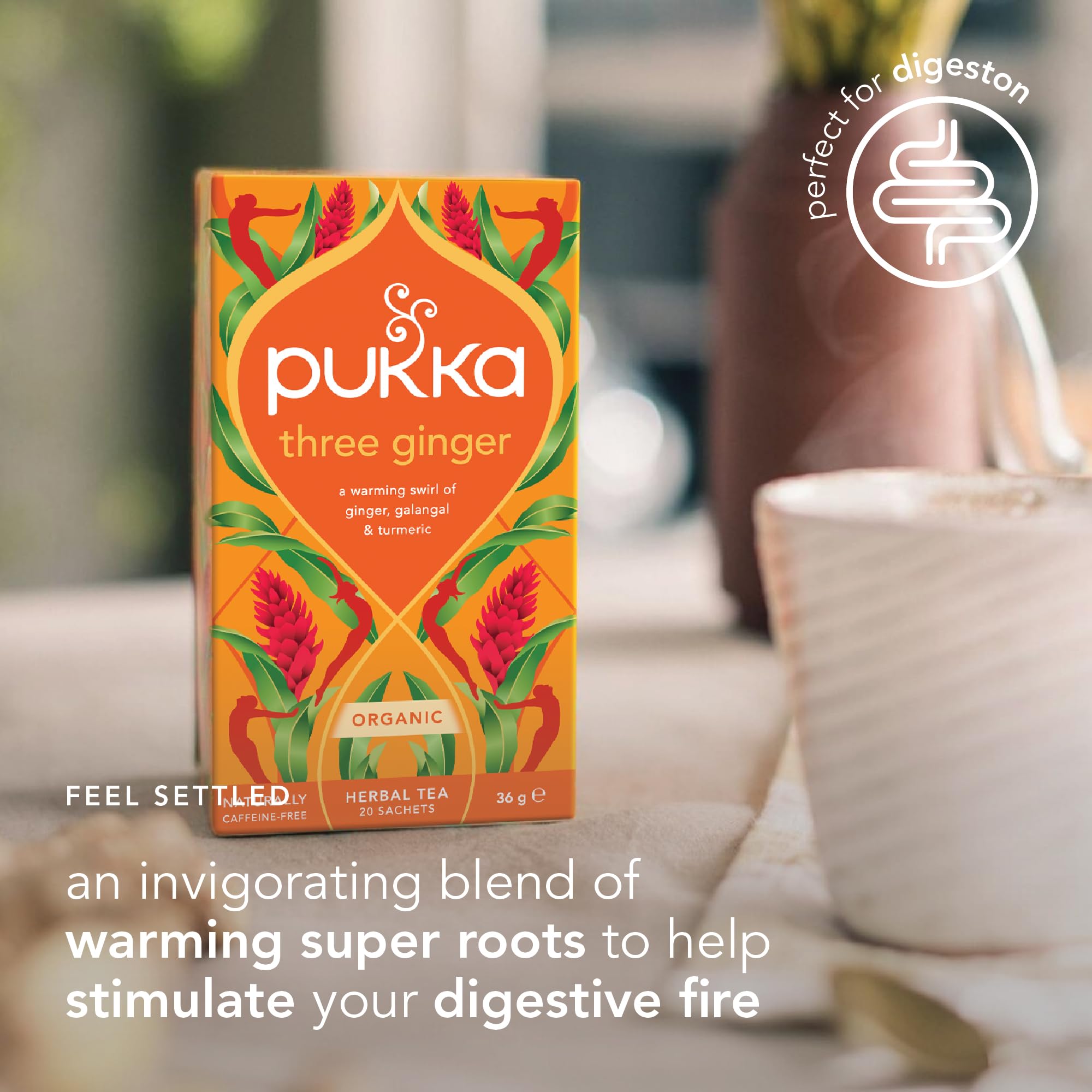 Pukka Herbs Three Ginger Organic Herbal Tea - 80 Count (Pack of 4) | Aids Digestion | Caffeine-Free 3