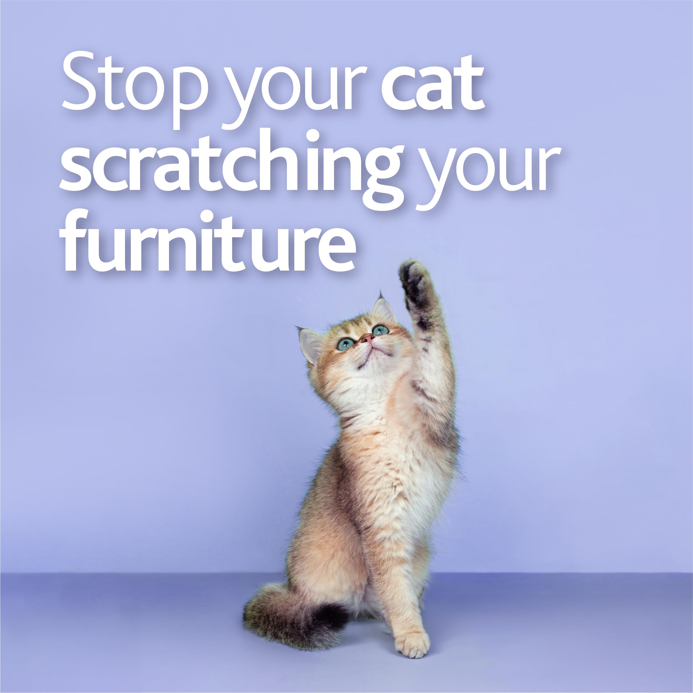 McK LORDS Scratch No More Cat Deterrent Spray - Prevents Scratching | Protects Furnishings | 500ml 3