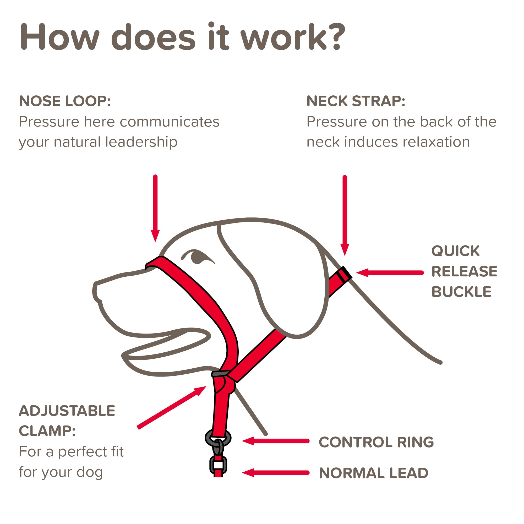 Beaphar Gentle Leader Head Collar - Medium Dog Training Aid | Stops Pulling | Black Nylon 3