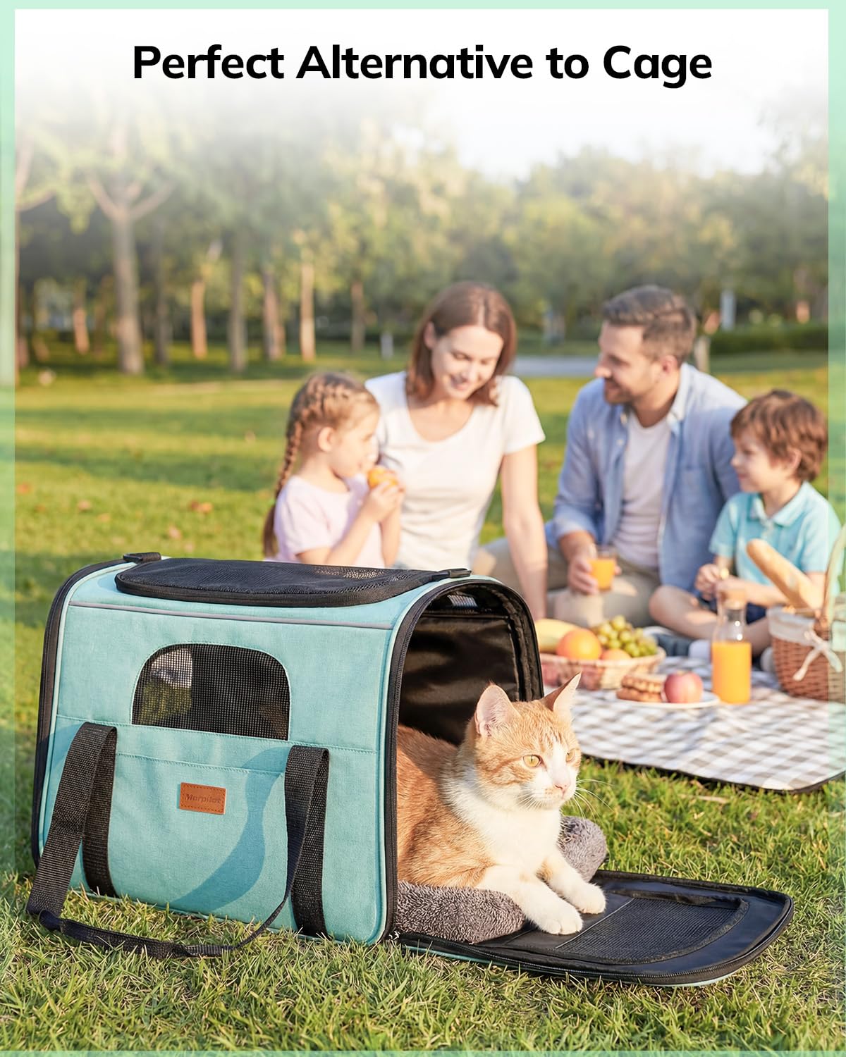 Morpilot Soft-Sided Pet Carrier - Airline Approved, Breathable, Turquoise | 47x32x36cm 9