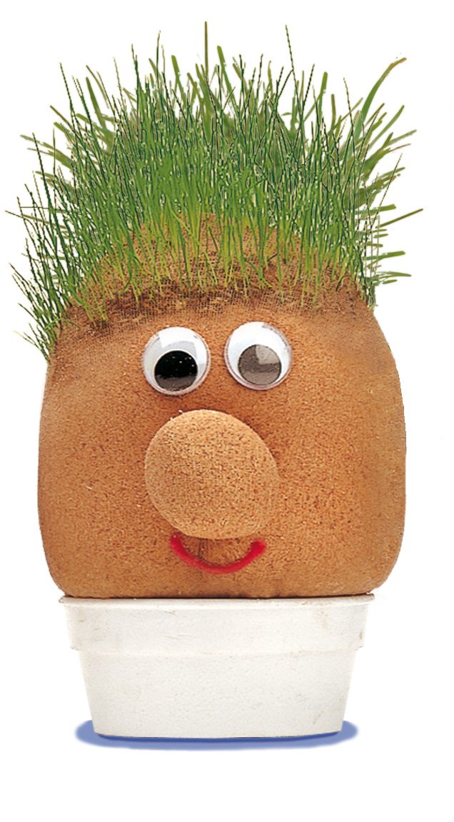 Tobar - Mr Grasshead Hair Grow Toy 1
