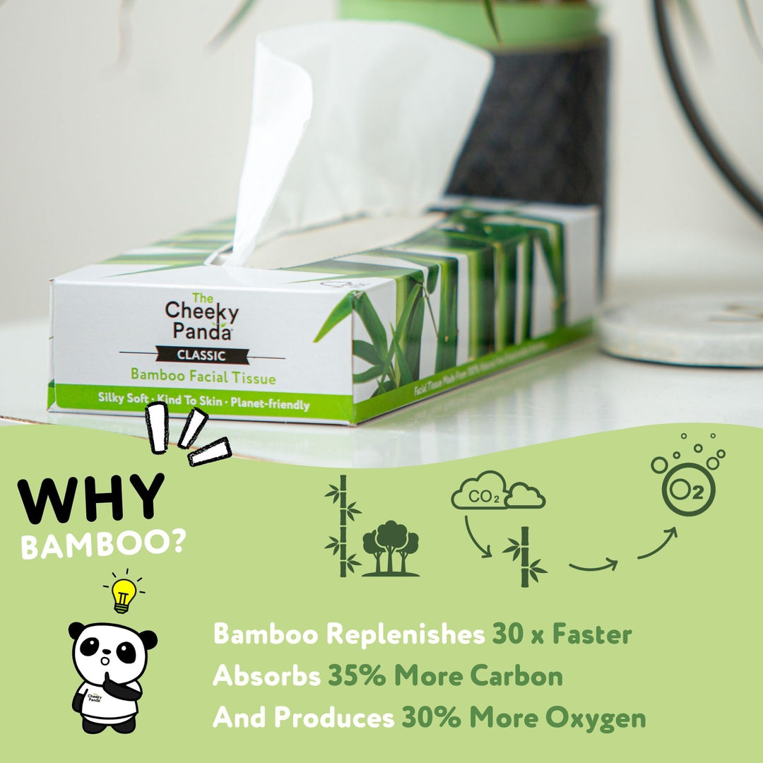 The Cheeky Panda – Bamboo Facial Tissues 3-Ply Flat Box (80 Tissues) Hypoallergenic, Plastic-Free, Eco-Friendly