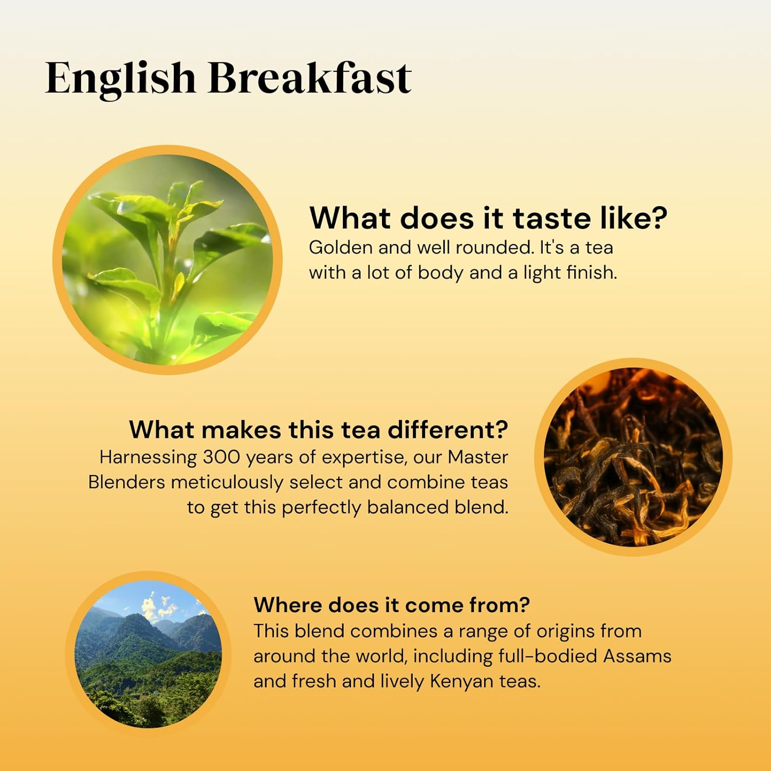Twinings English Breakfast Tea | Golden, Well-Rounded & Full-Bodied Black Tea | 80 Tea Bags 6