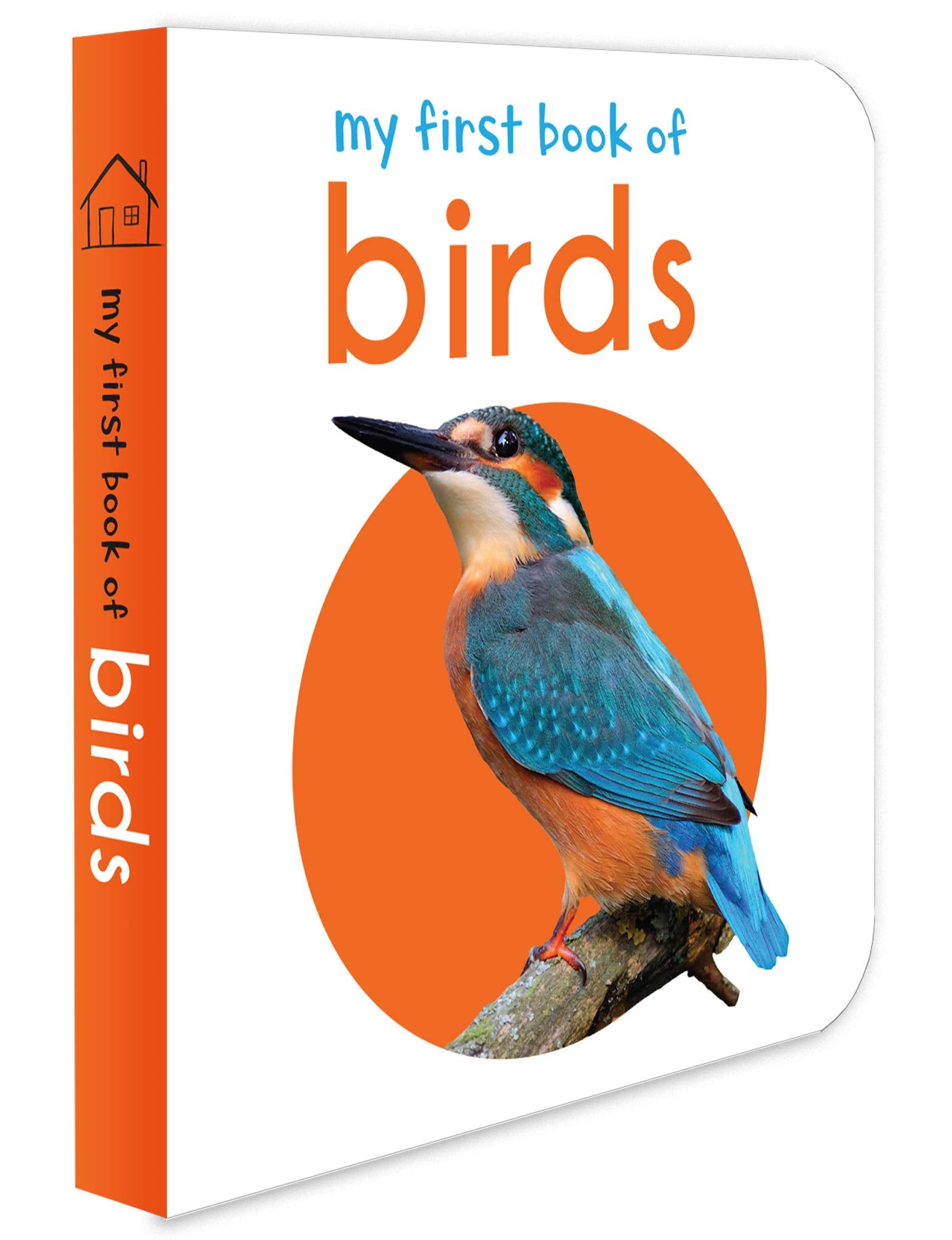 Wonder House My First Book Of Birds - First Board Book for Early Learning | English Language