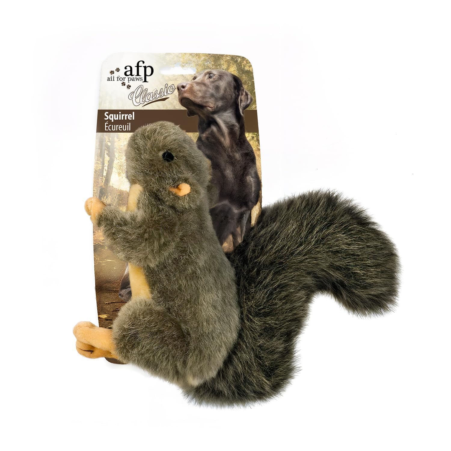 ALL FOR PAWS Squirrel Plush Dog Toy with Squeaker | Small Size | Lightweight