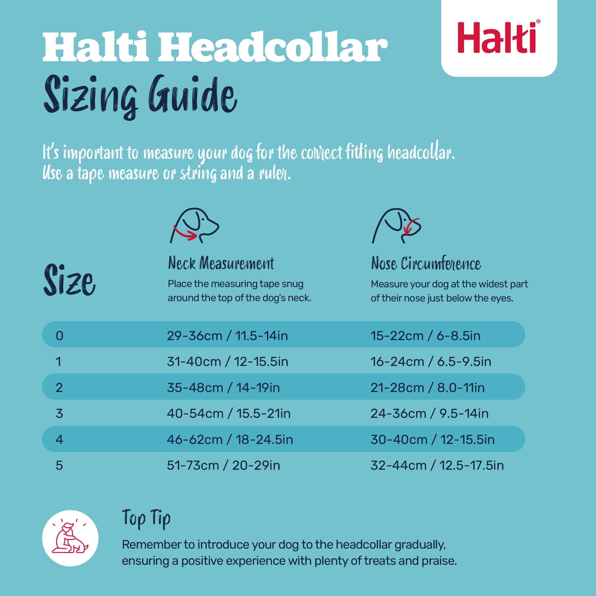 Halti Headcollar - Stops Pulling for Dogs | Size 3, Burnt Orange, Reflective 5