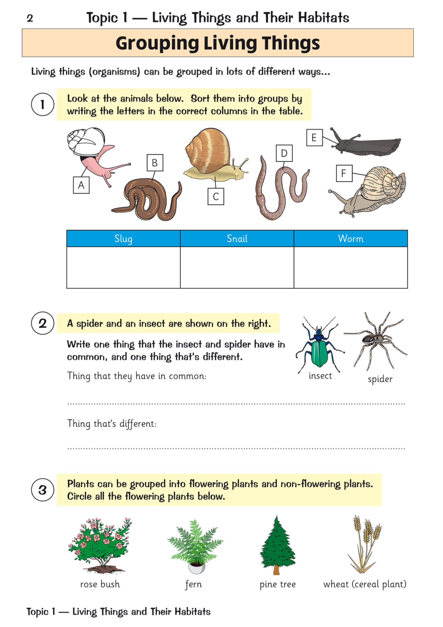 Coordination Group Publications Ltd (CGP) KS2 Science Year 4 Targeted Question Book - Ages 8+ | Paperback | 48 Pages 2