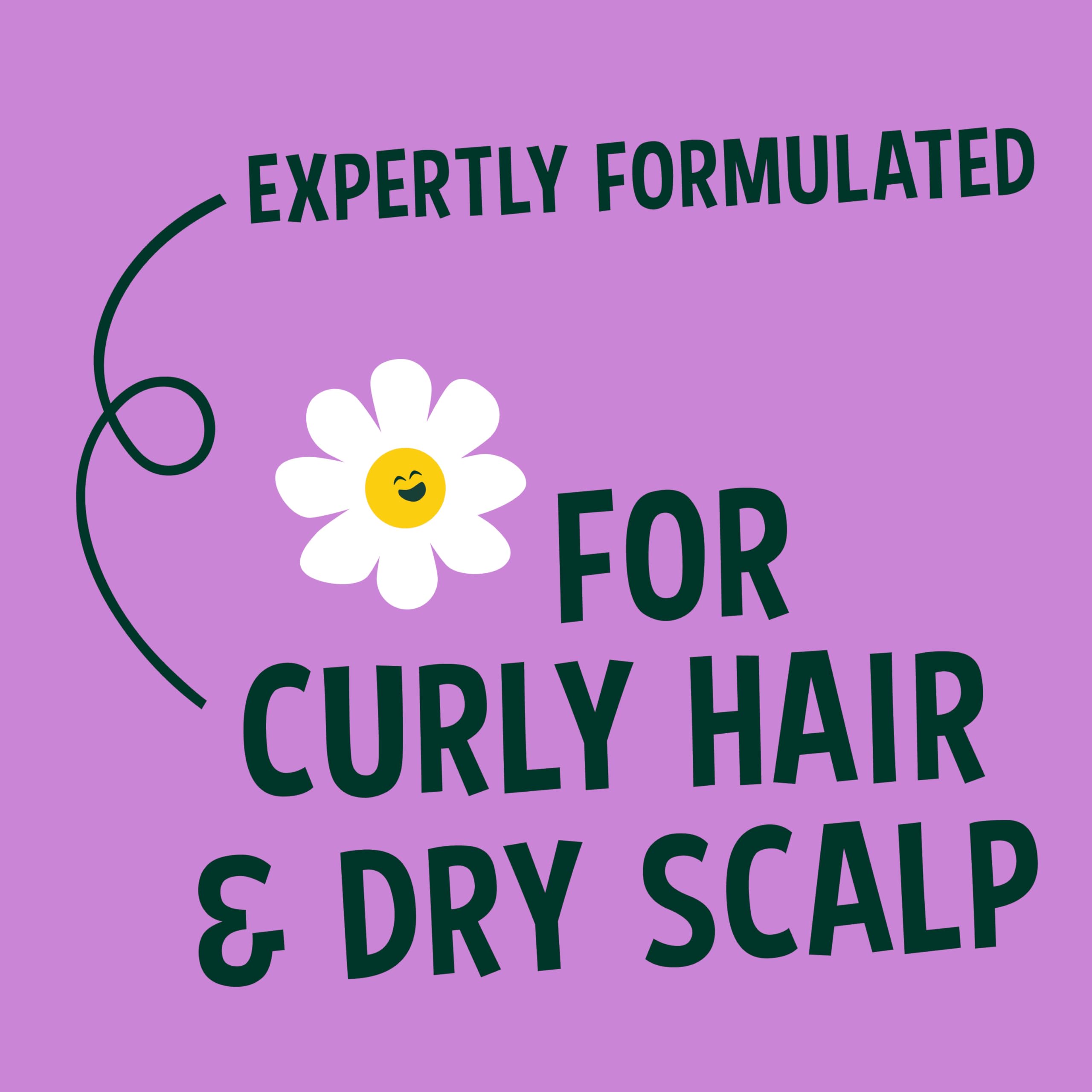 Faith In Nature Natural Shea & Argan Shampoo, Moisturising for Curly Hair & Dry Scalp, Vegan & Cruelty Free, No SLS, Silicones or Parabens, 400ml 2