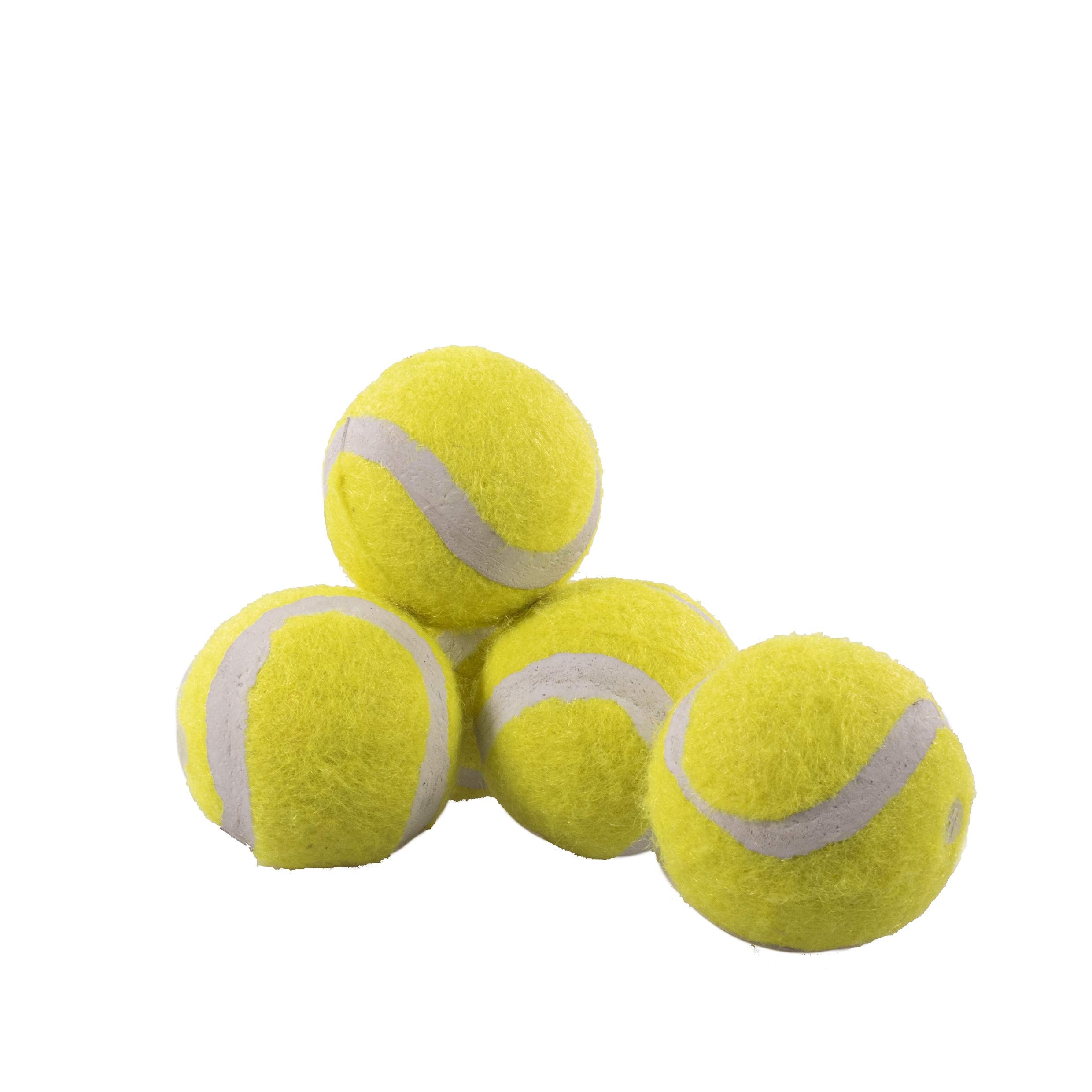 Rosewood Mini Assorted Tennis Balls for Dogs - 5 Count Pack | Ideal for Puppies & Small Breeds 3