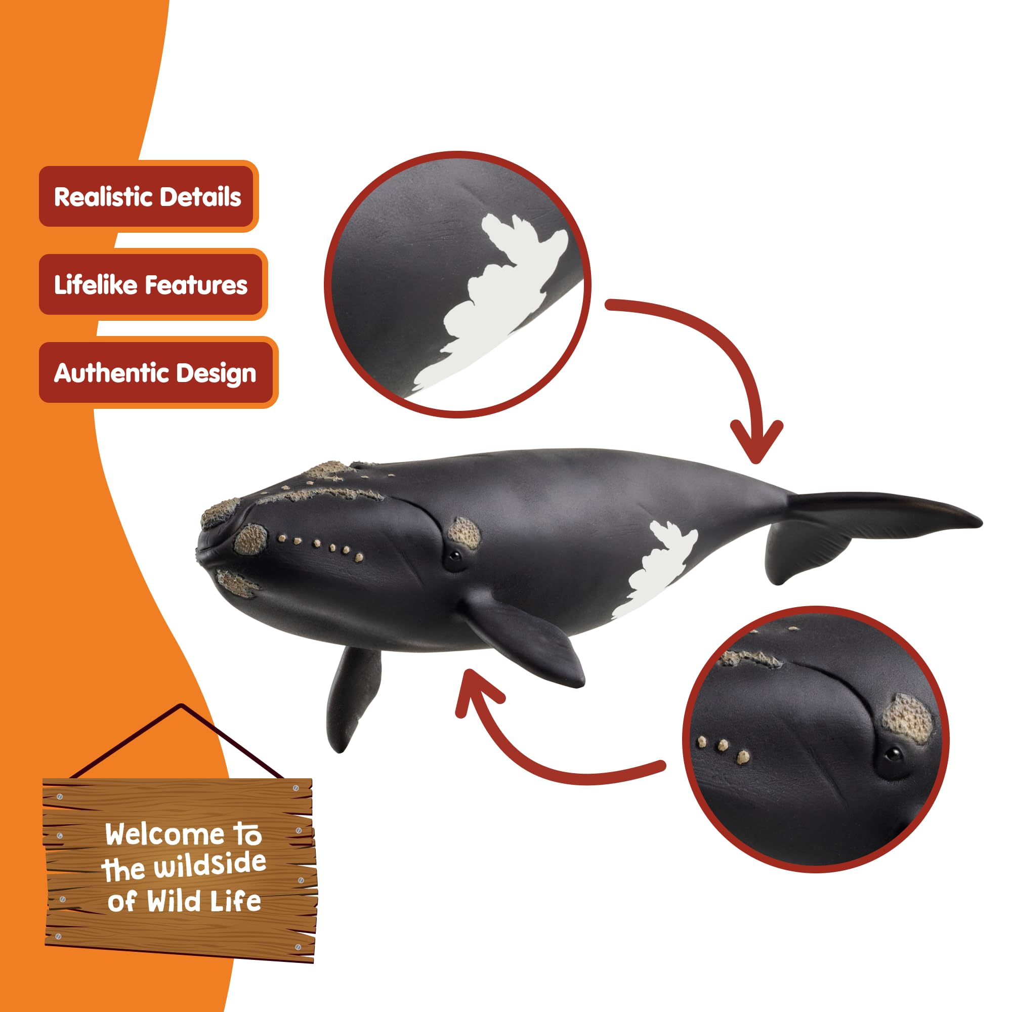 Schleich WILD LIFE North Atlantic Right Whale Figurine 19cm Plastic Model 14878 4