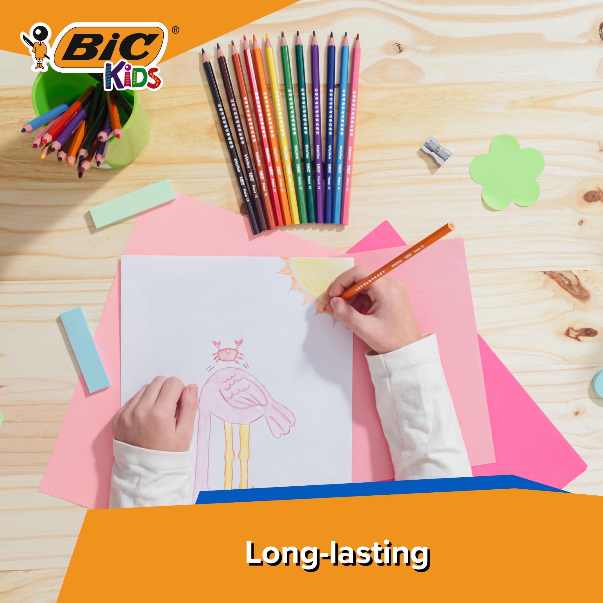 BIC Kids Evolution Colouring Pencils - 12 Pack | Vivid Colour | Easy to Sharpen | Ages 5+ 2
