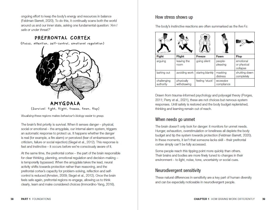 Bloomsbury The Neuroinclusive Educator - Creating Classrooms for Every Learner | Paperback | English 3