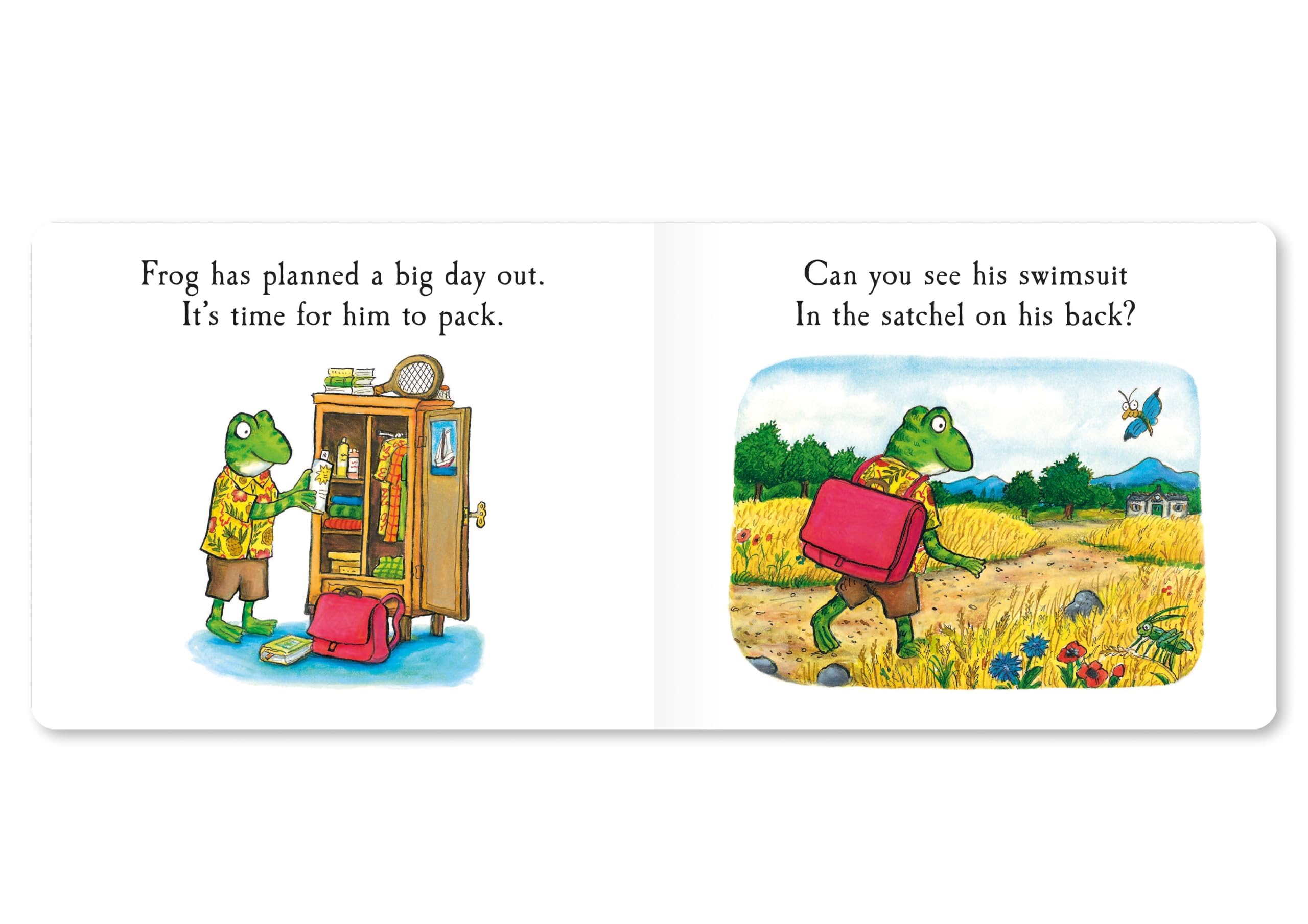 MACMILLAN Frog's Day Out: A Lift-the-flap Story | Board Book | Ages 1-3