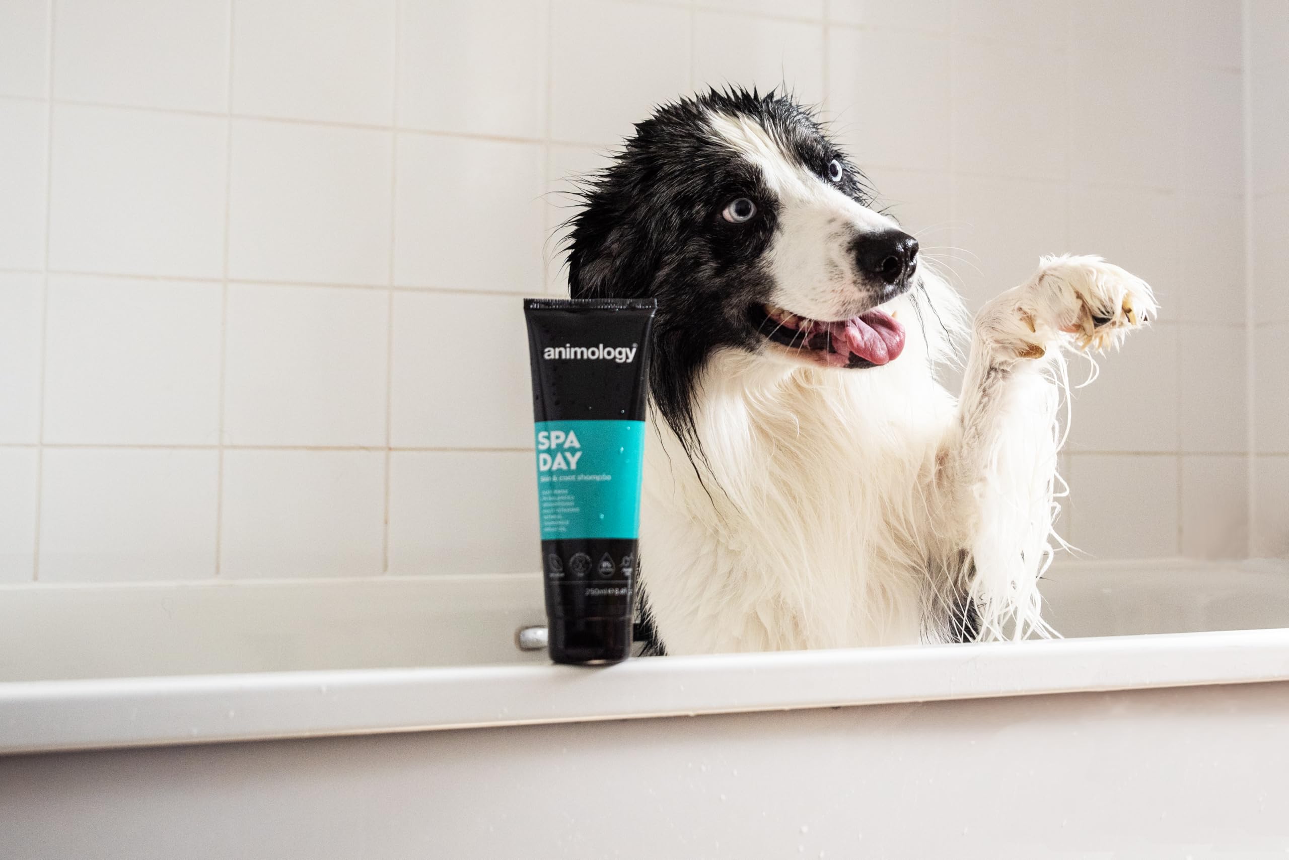 Animology Spa Day Dog Shampoo - 250ml | PH Balanced | Deodorising | Easy Rinse 5