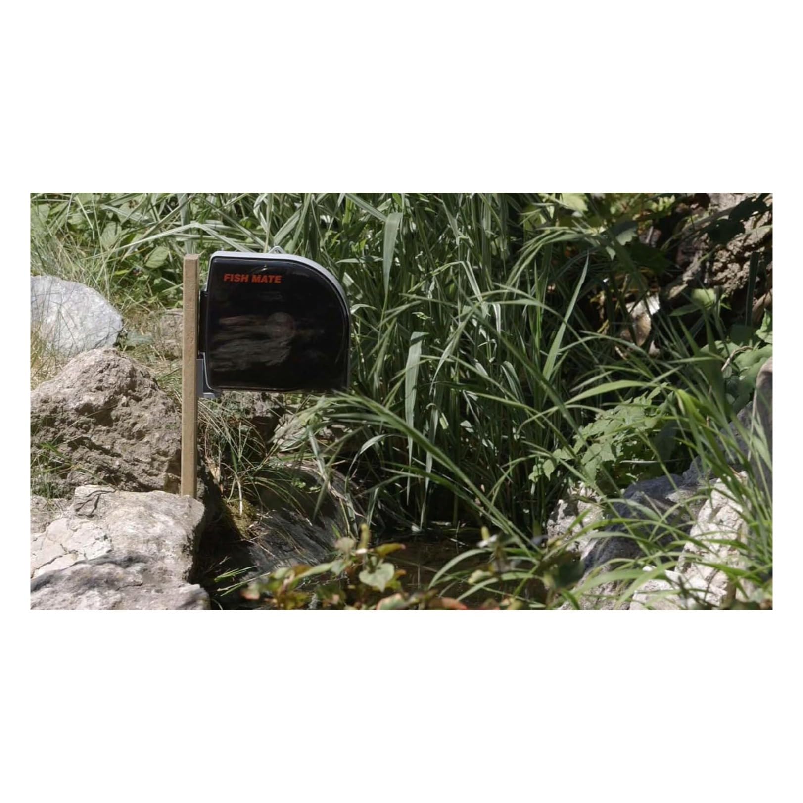 Fish Mate P21 Automatic Pond Fish Feeder - 21 Meal Capacity | Adjustable Timer | Plastic 2
